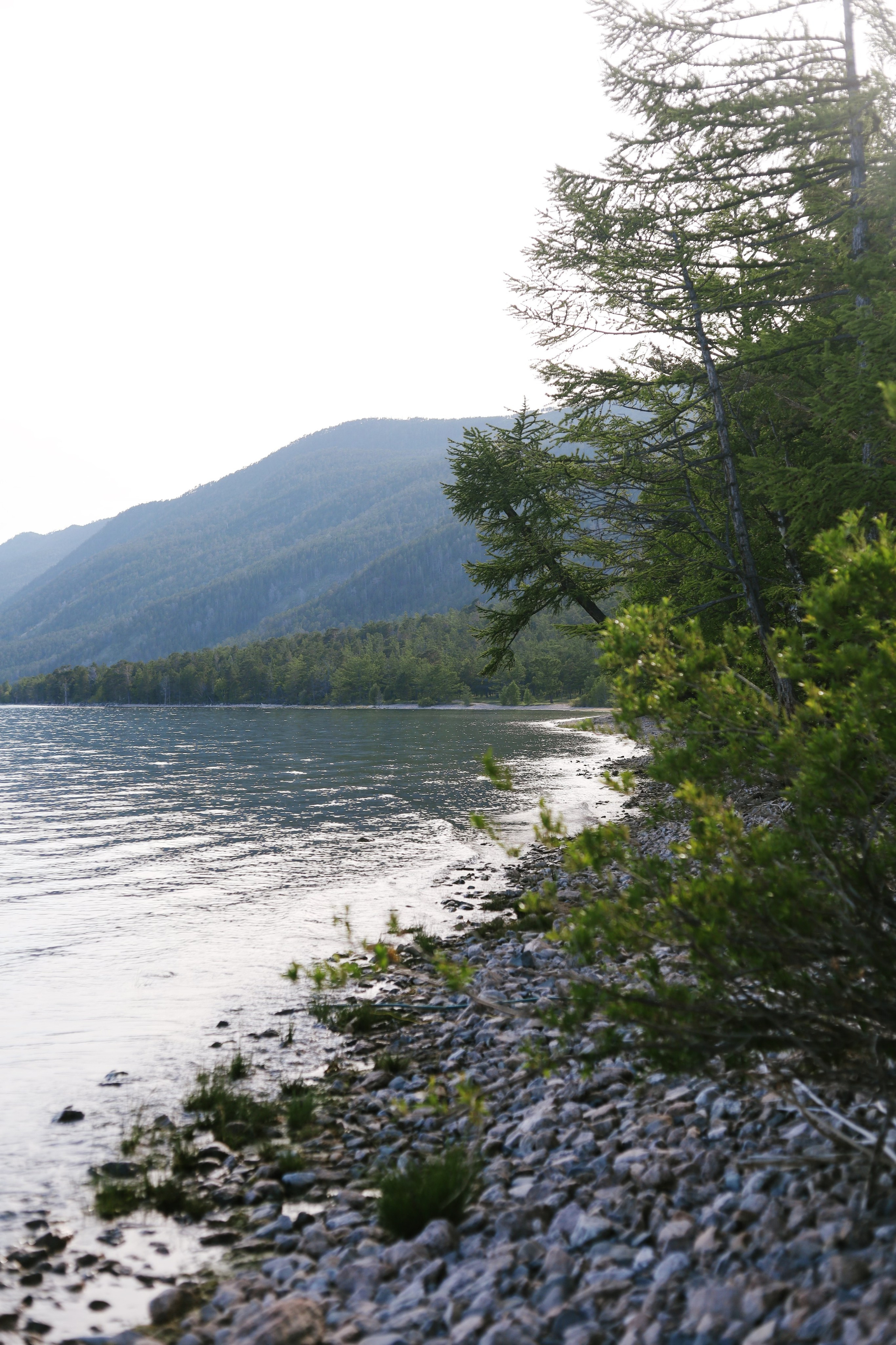 Лето 2024 / палатки. 1642 — первый лагерь для взрослых на Байкале