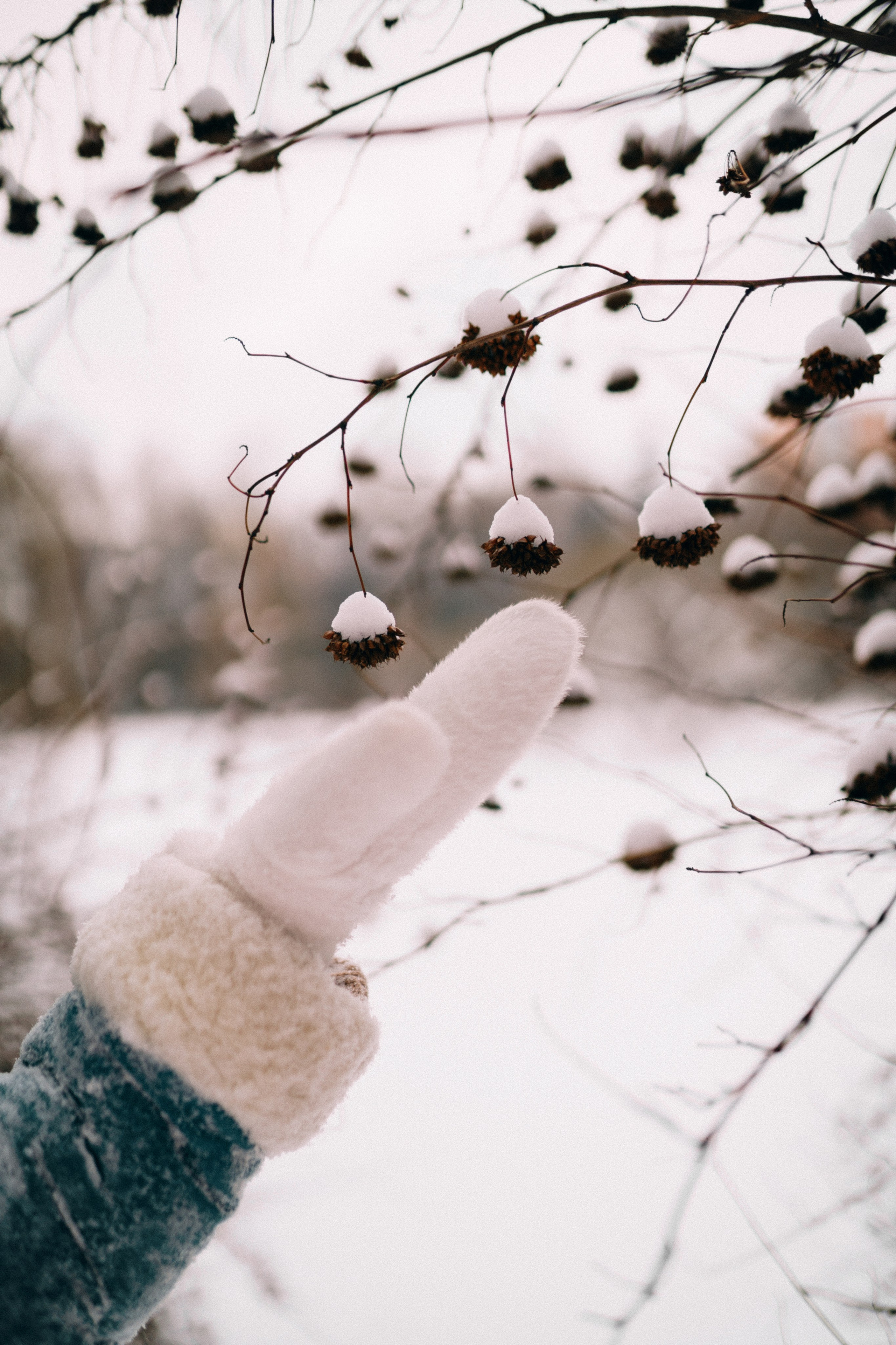 Таня. Фотограф Екатерина Катунова | Москва