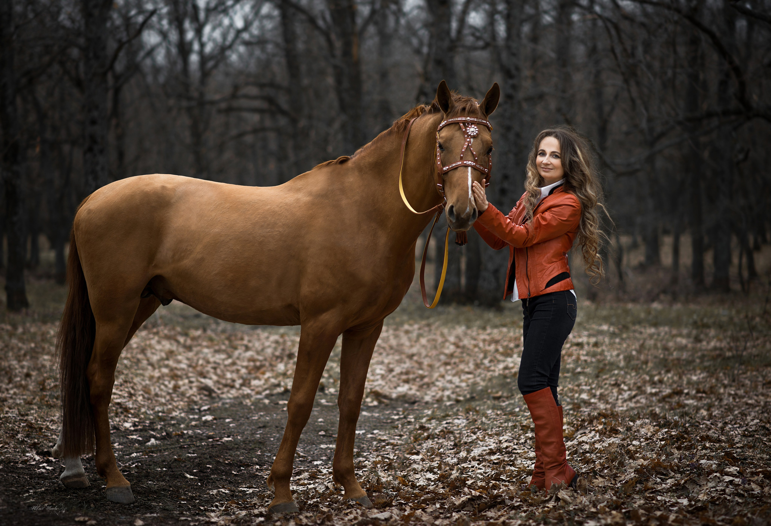 Семейная съемочка с Собратом. Конный фотограф в Саратове Юлия Иванова