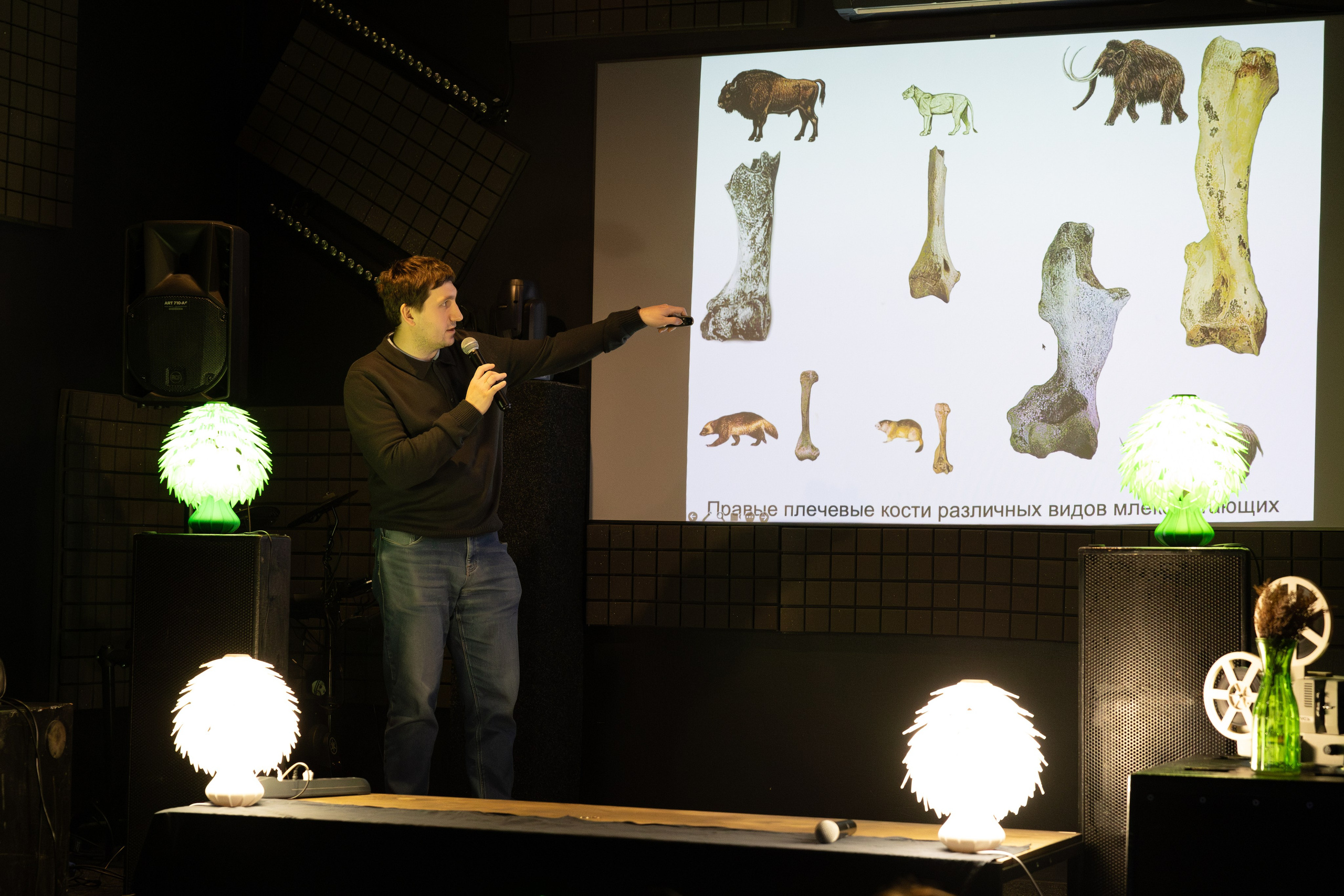 Для ГПНТБ. Фотограф Новосибирск, Академгородок, Бердск — Айна