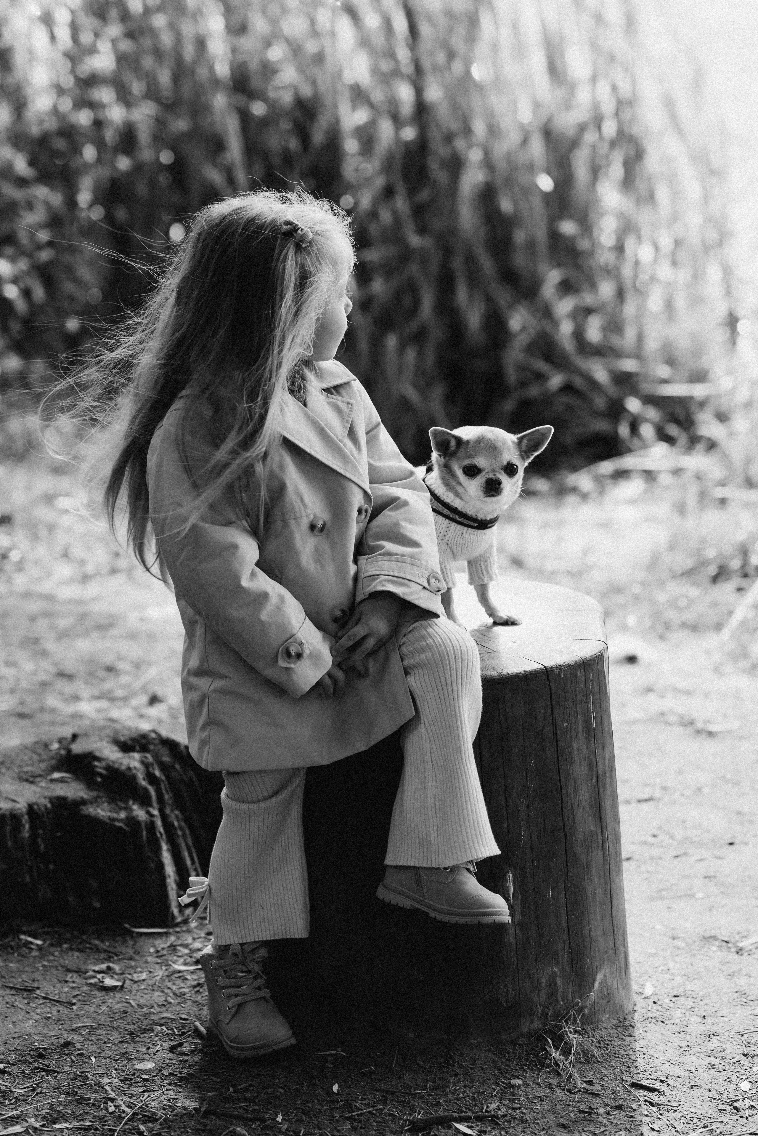 фото на улице москва — девочка со своей собакой в парке