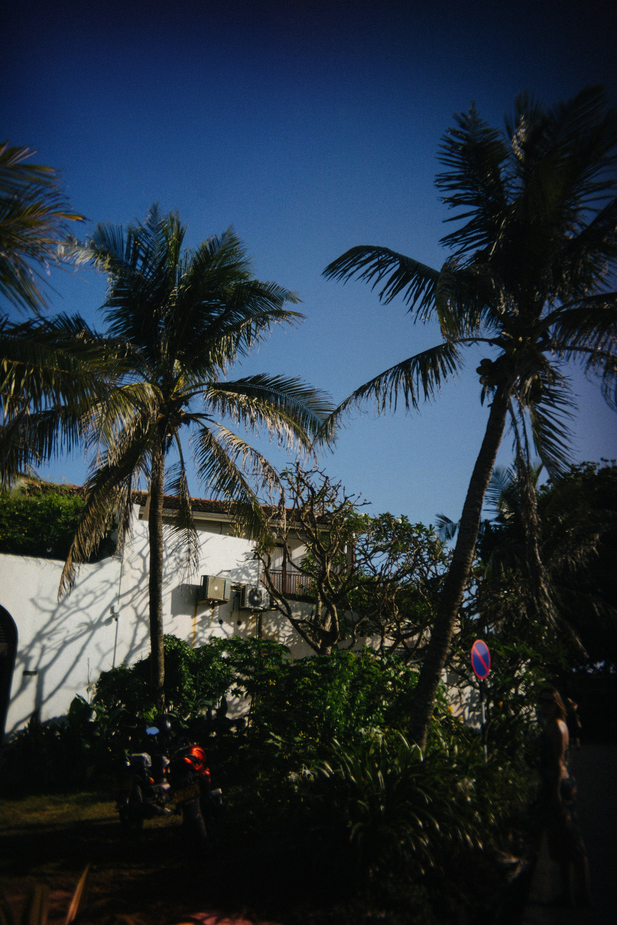 Шри + Бангкок. Фотограф Тбилиси Саша Мороз