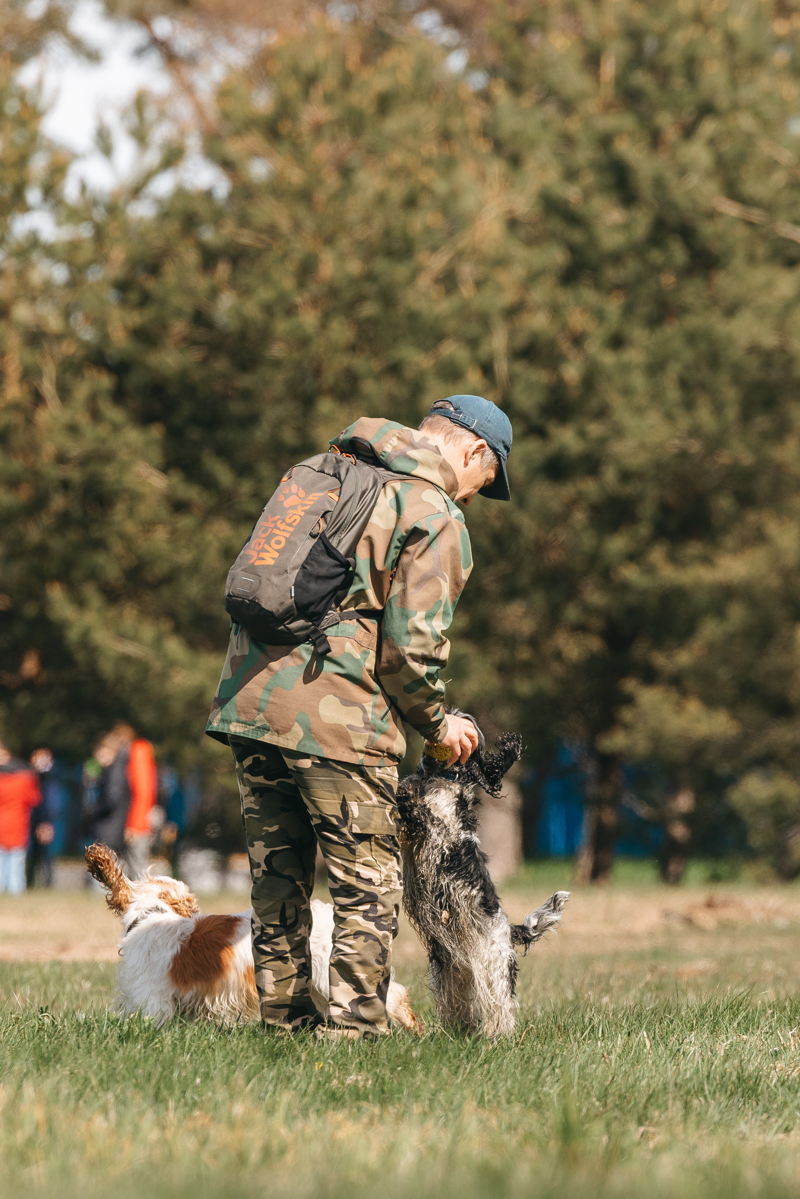 Спанимания. Фотограф анималист Осипчикова Мария
