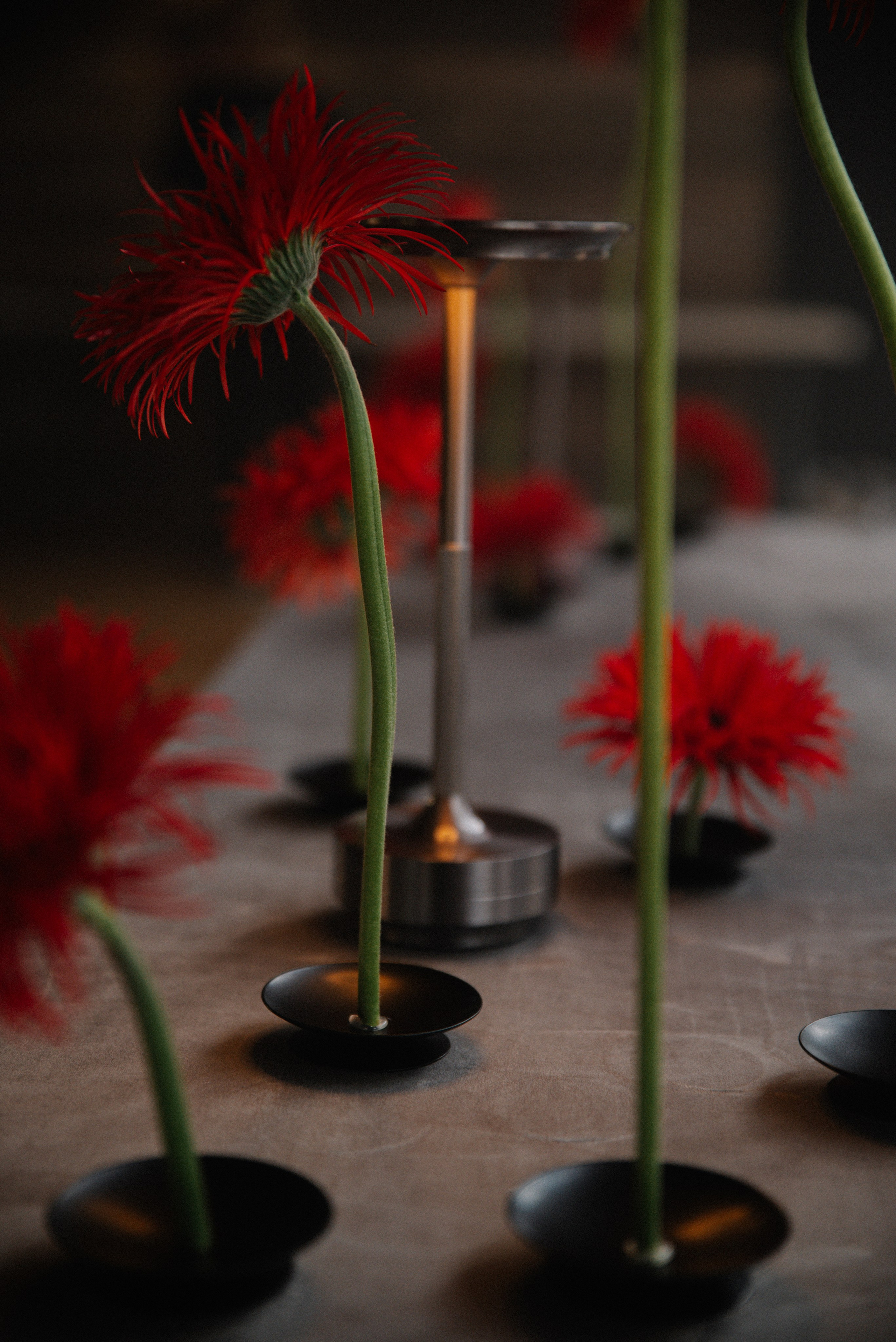 Саша & Оля. Свадебный, семейный, женский фотограф в Москве, Мытищах, Королёве Ксения Узилле