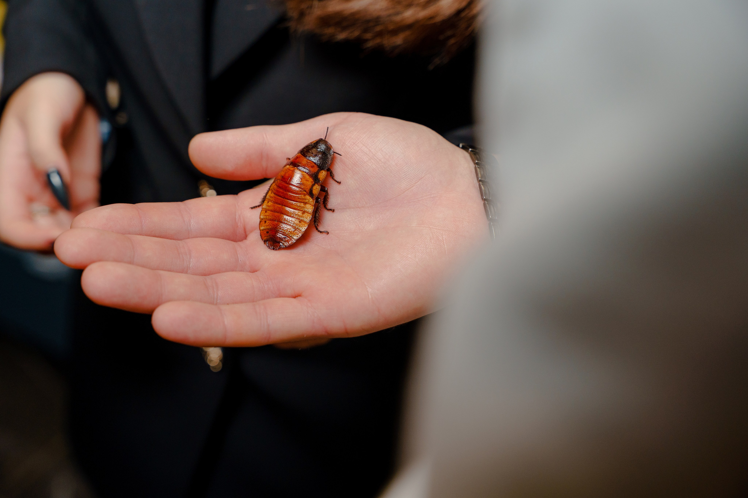Репортажный фотограф на день рождения в Москве. Репортажный фотограф Москва Сергей Дружинин