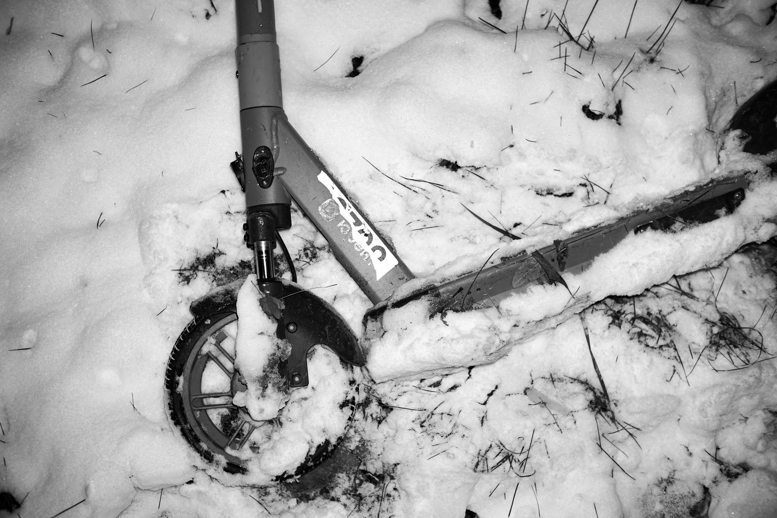 Моменты. Photographer Pavel Romashchenko