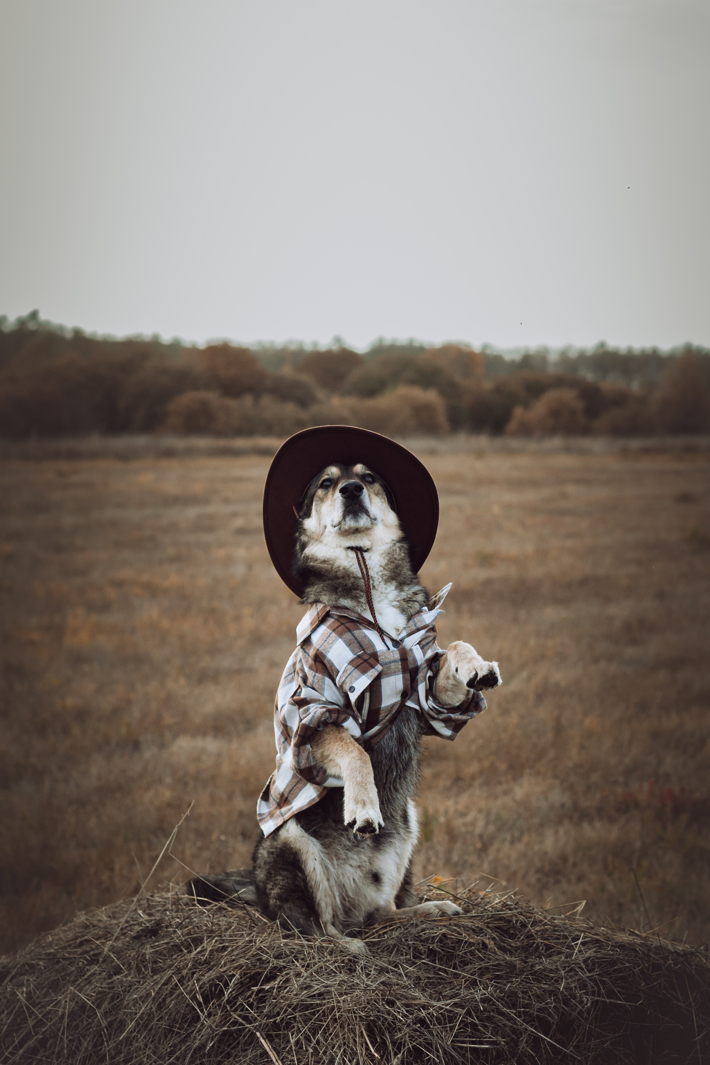 Кантри Дюк. Фотограф-анималист Татьяна Степанова