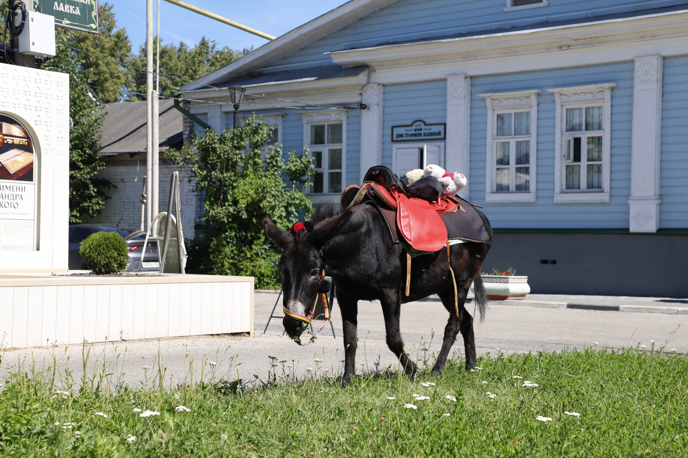 БРИКС экскурсия в Городце. Ваш фотограф в Нижнем Новгороде