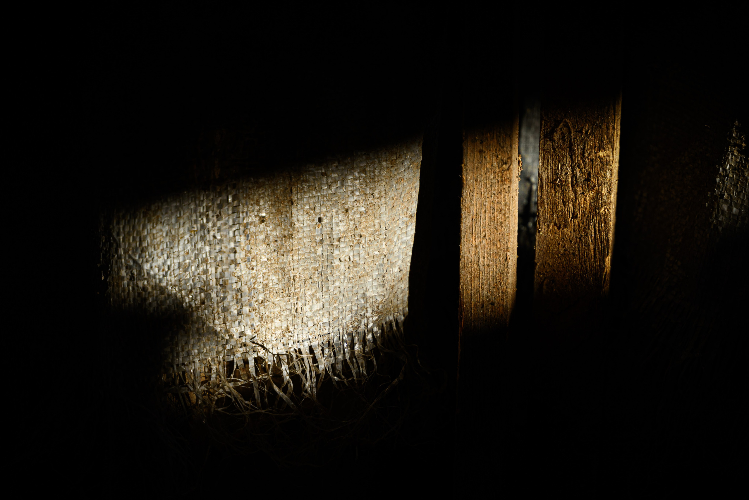 Увидеть свет. Фотограф Антон Денисенко: Портрет, Документалистика, Пейзаж. Москва