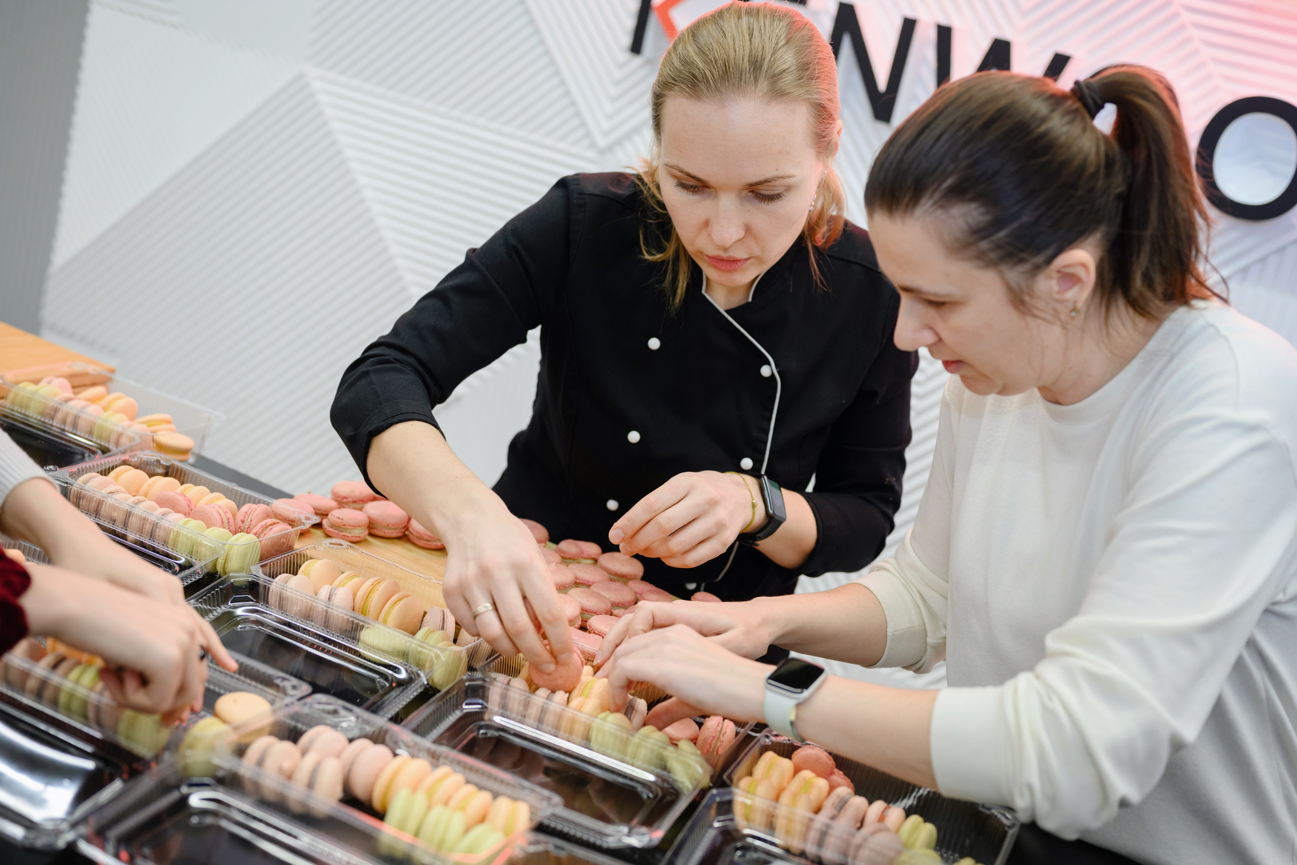 Kenwood. Семейный фотограф и анималист в Москве и Московской области