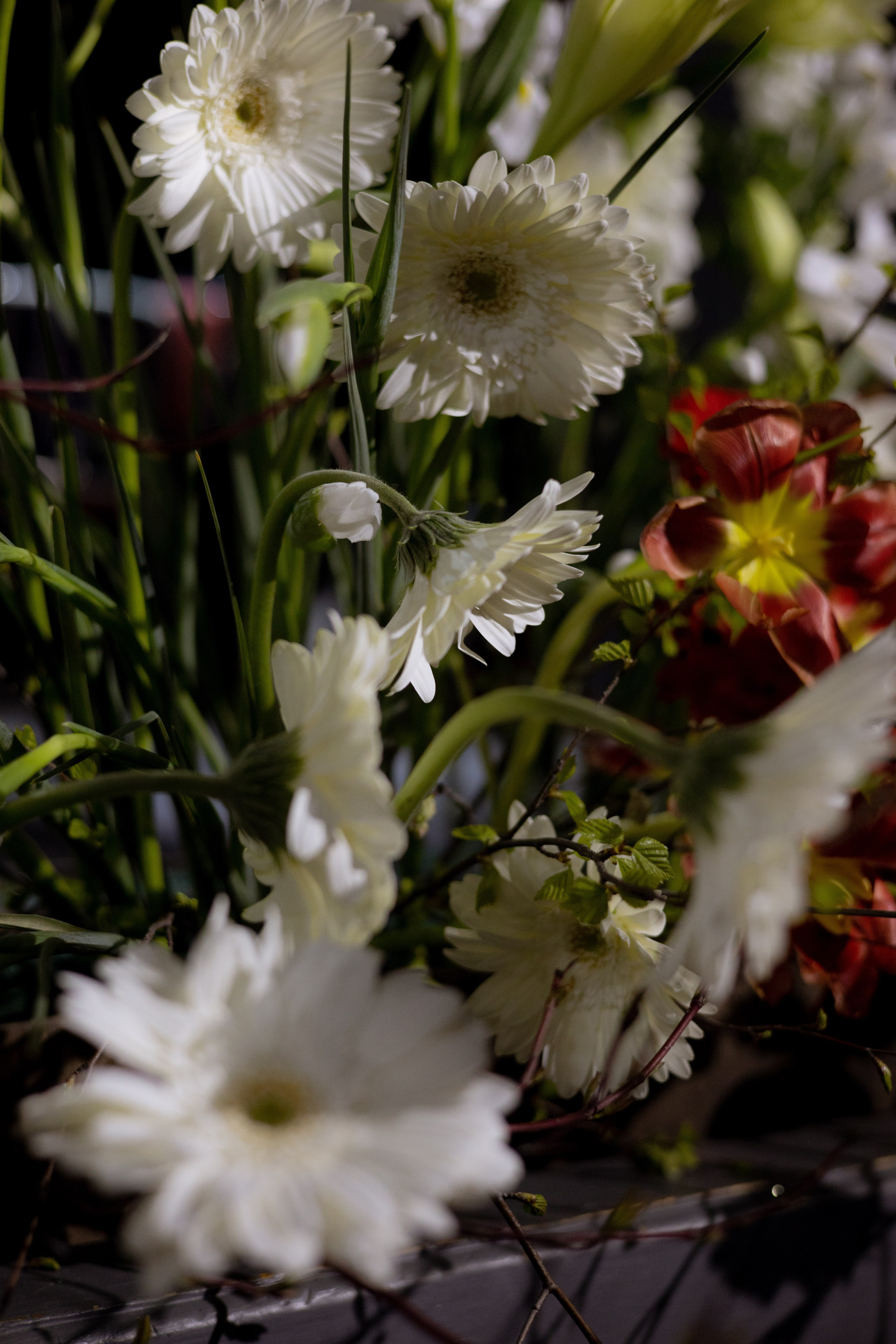 Оформление Отчетного концерта Музыкальной школы Глазунова. Оформление свадеб, декор свадеб Вера Маркова, Москва