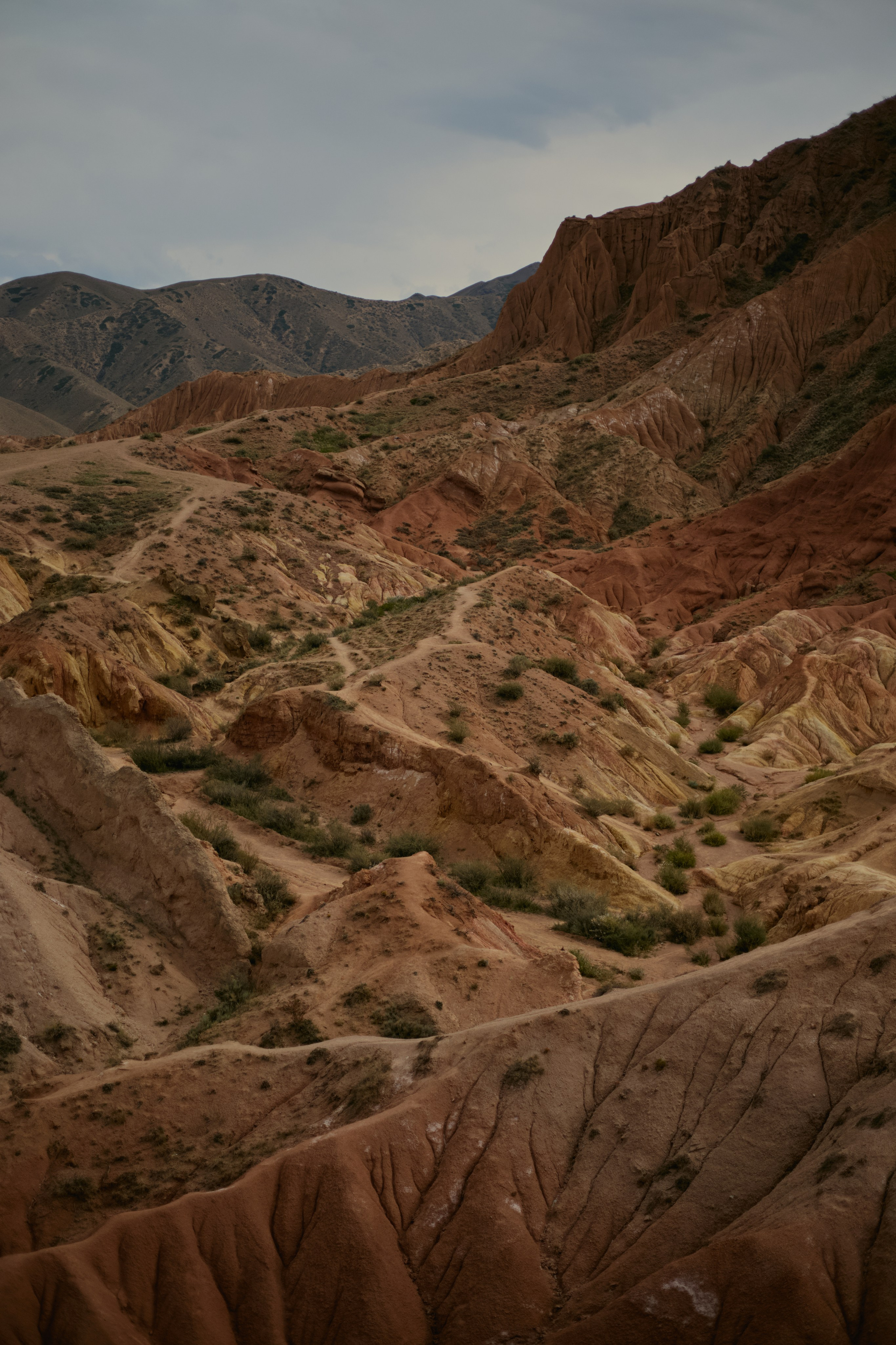 Кыргызтан. Профессиональный Фотограф во Владимире, в Москве и в Суздале — Полина Романычева