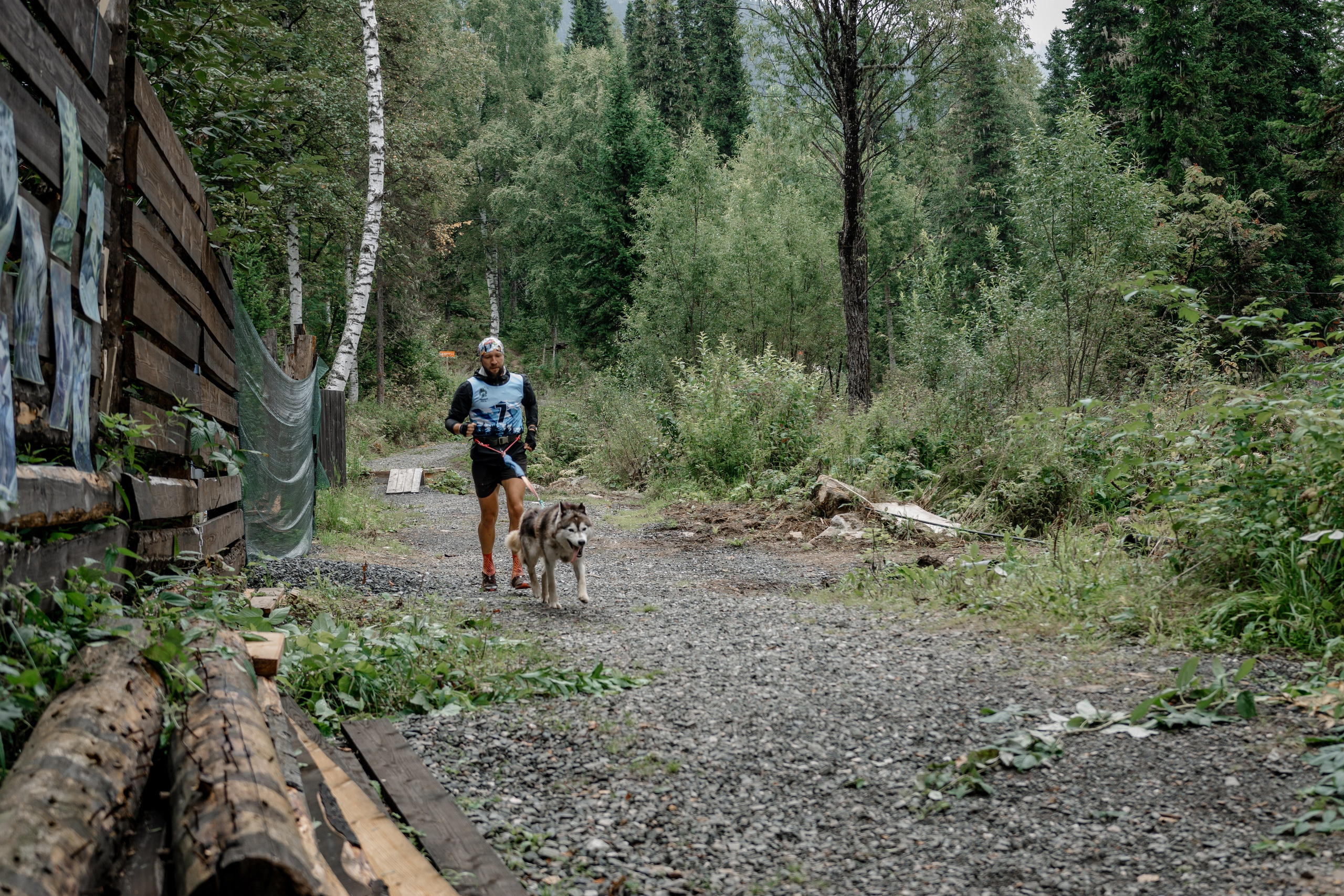 Дог-треккинг