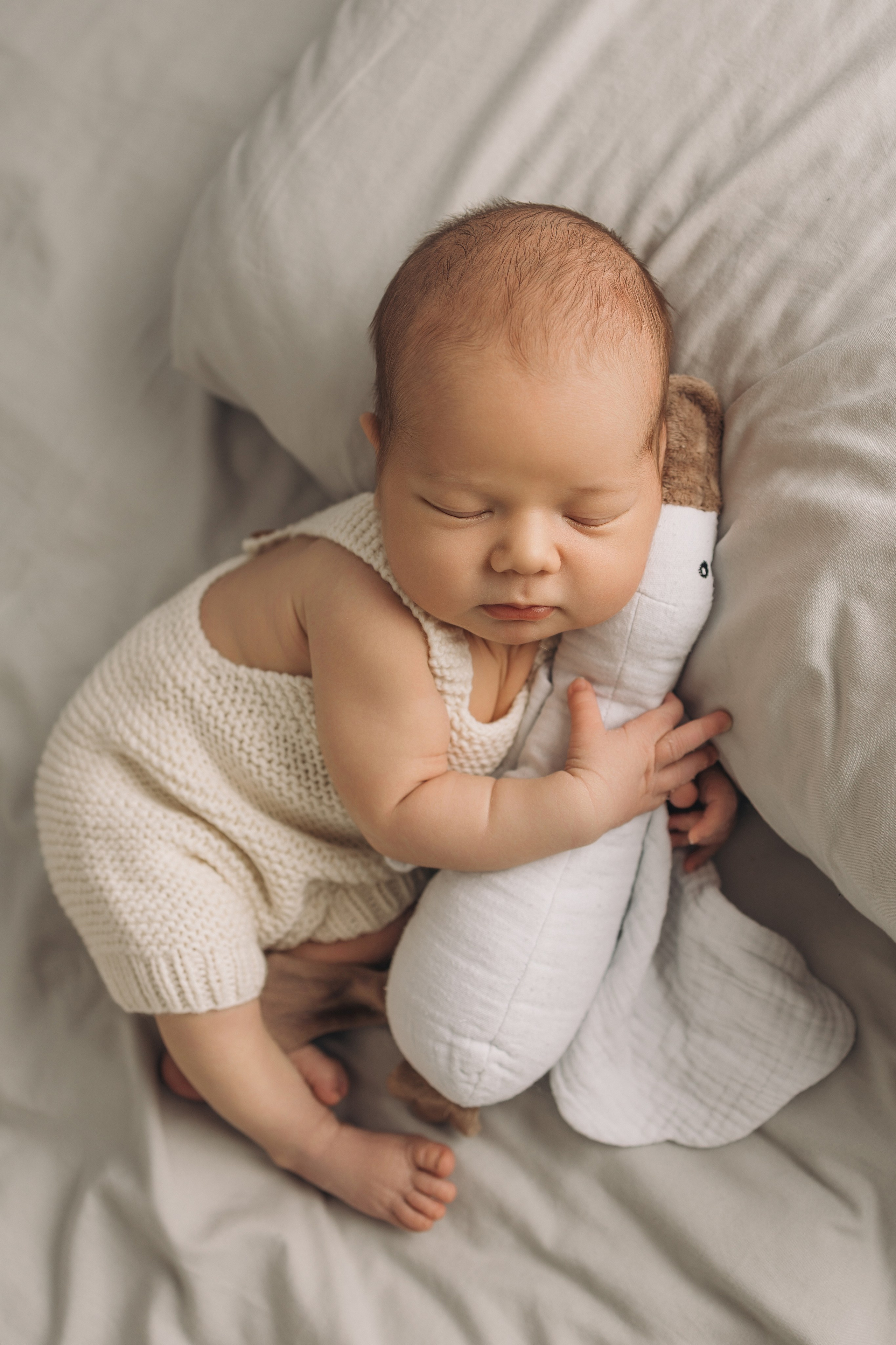 Лев 7 дней. Фотограф новорождённых Newborn Москва