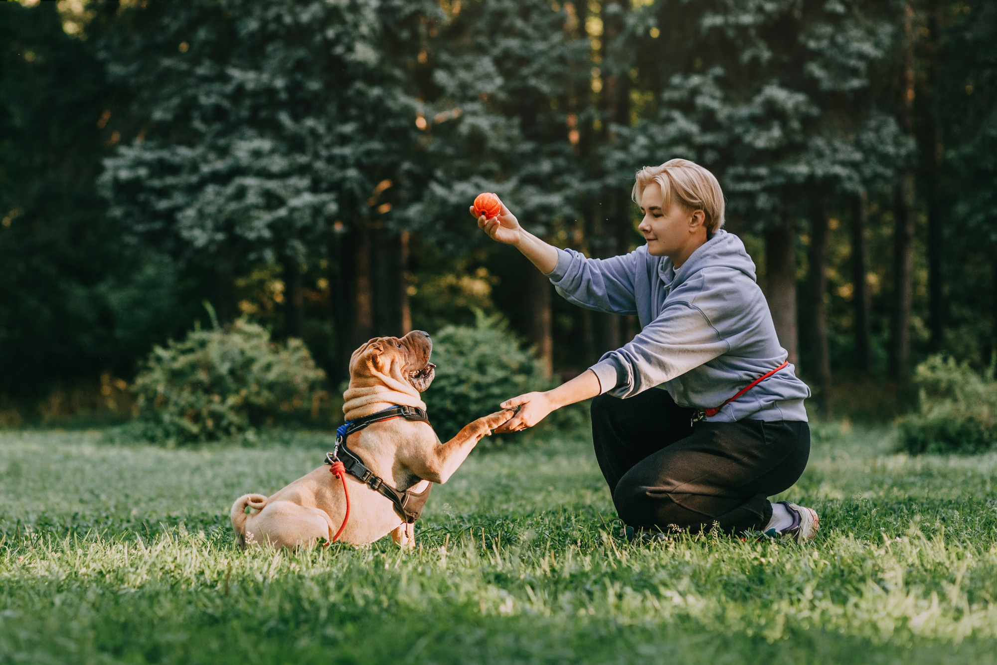 Аппа. Фотограф-анималист Елена Радченко, Москва