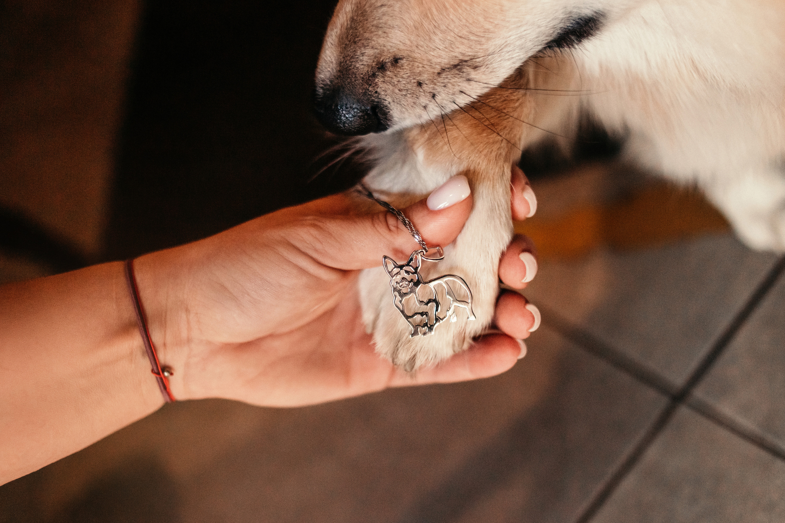 Украшения Diamond Animal. Фотограф-анималист Елена Радченко, Москва