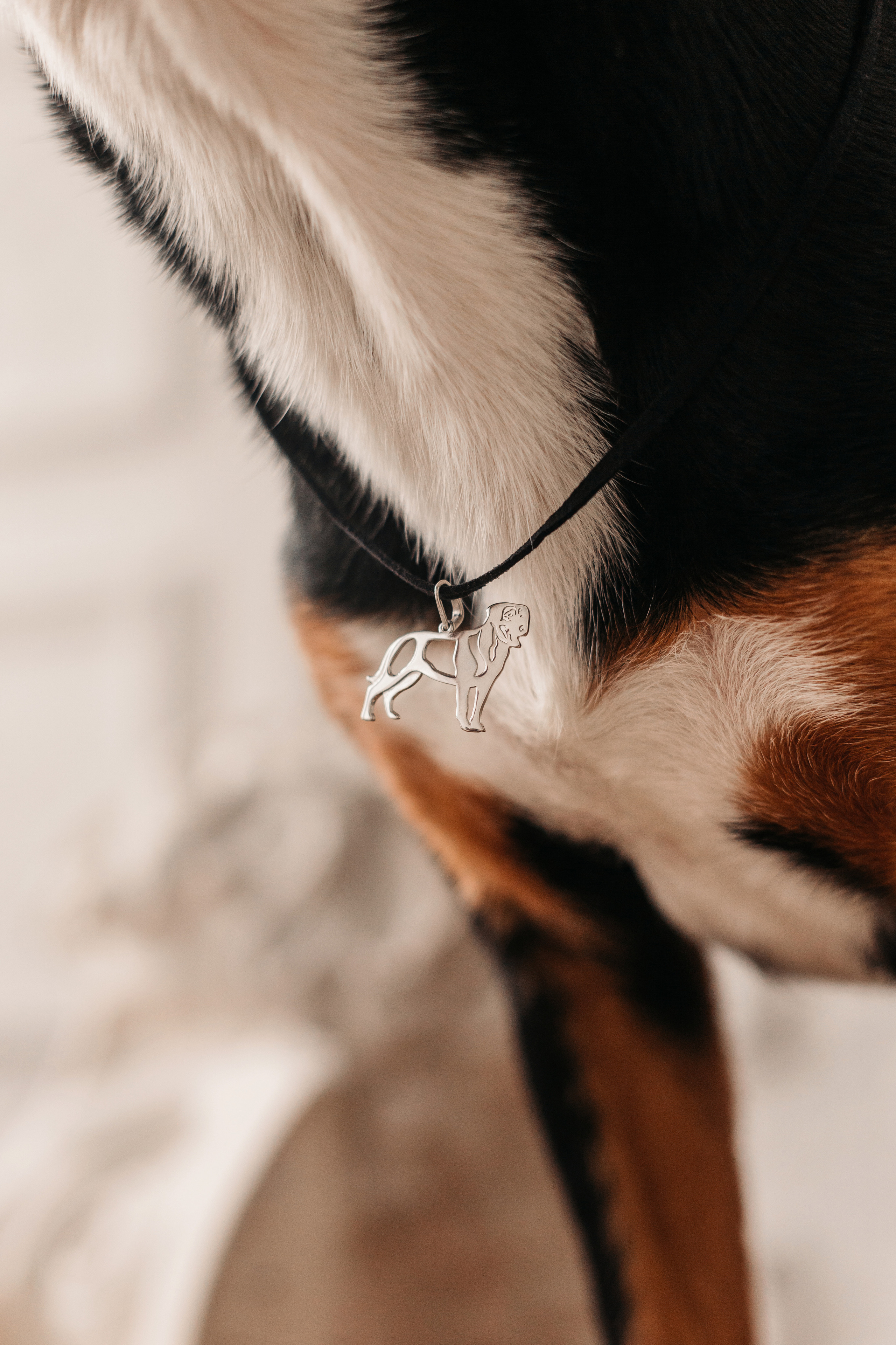 Украшения Diamond Animal. Фотограф-анималист Елена Радченко, Москва