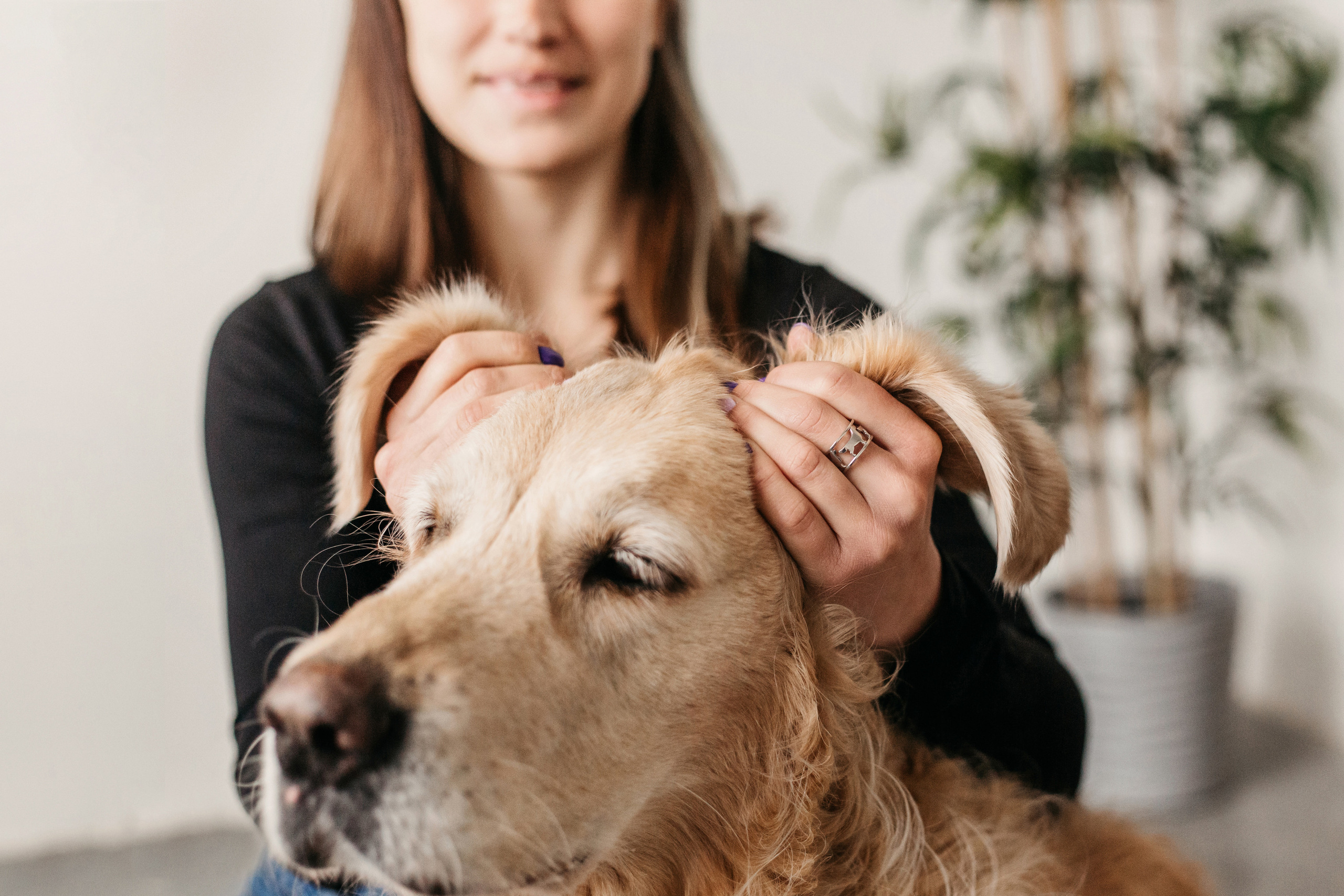 Украшения Diamond Animal. Фотограф-анималист Елена Радченко, Москва