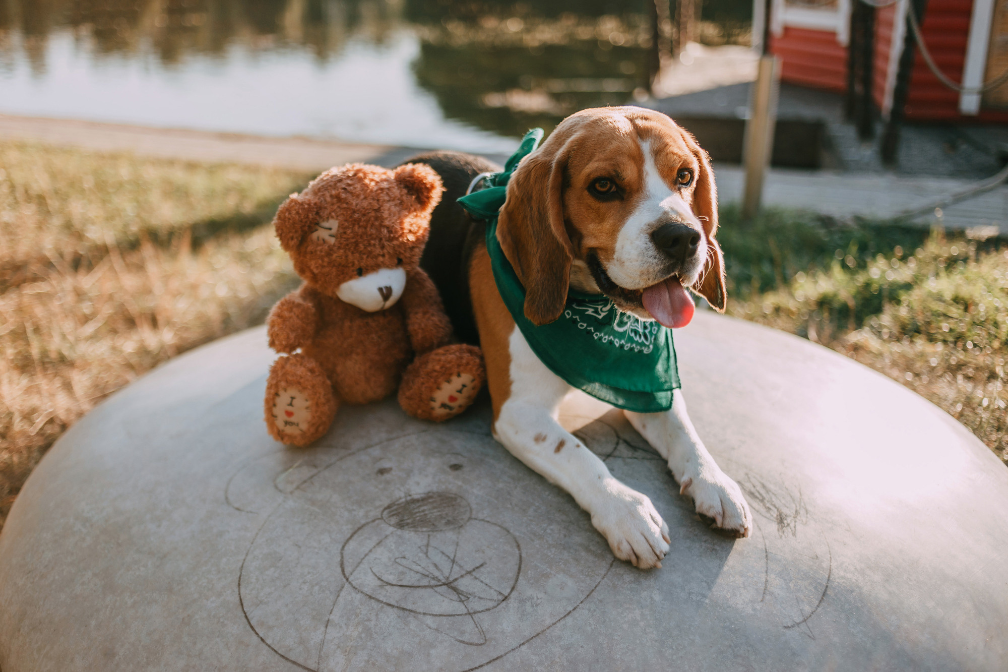 Марина, Максим и Дэй. Фотограф-анималист Елена Радченко, Москва