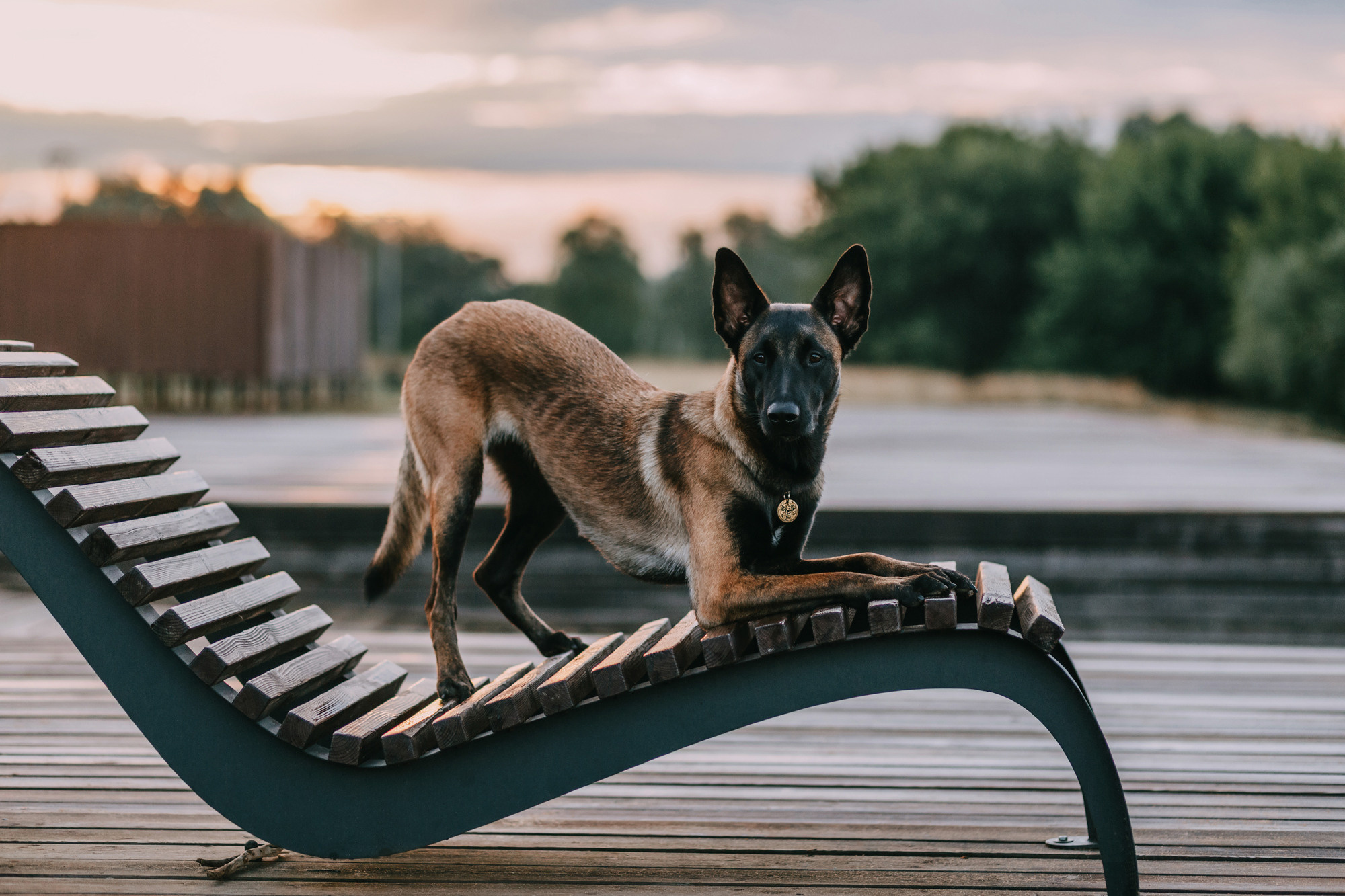 Полина и Ишка. Фотограф-анималист Елена Радченко, Москва