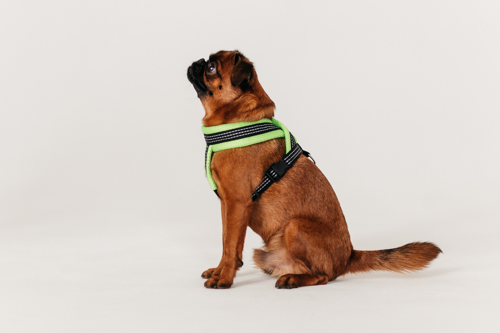 Магазин Каскад. Фотограф-анималист Елена Радченко, Москва