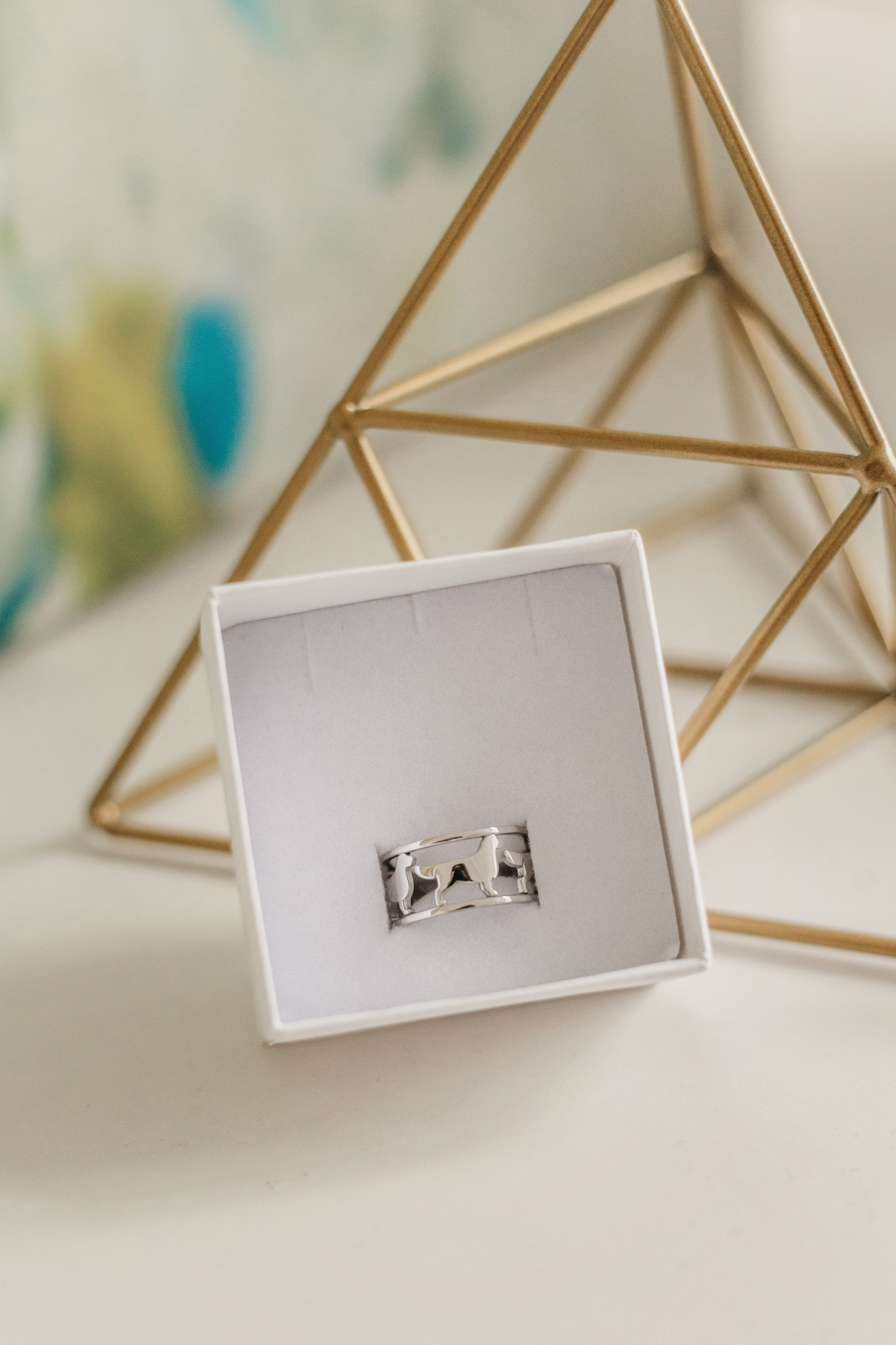 Украшения Diamond Animal. Фотограф-анималист Елена Радченко, Москва