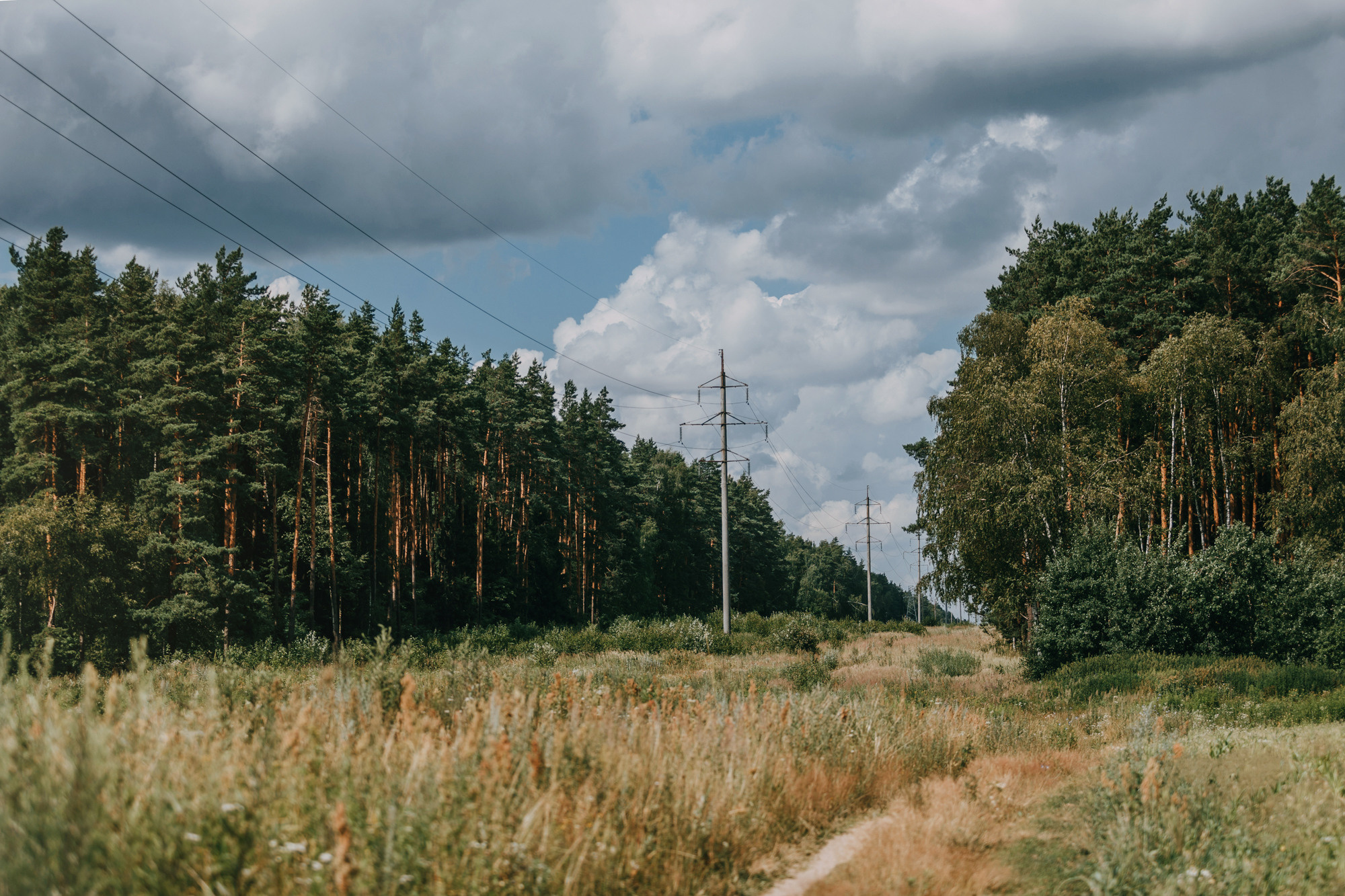 Бэлла и Альма. Фотограф-анималист Елена Радченко, Москва
