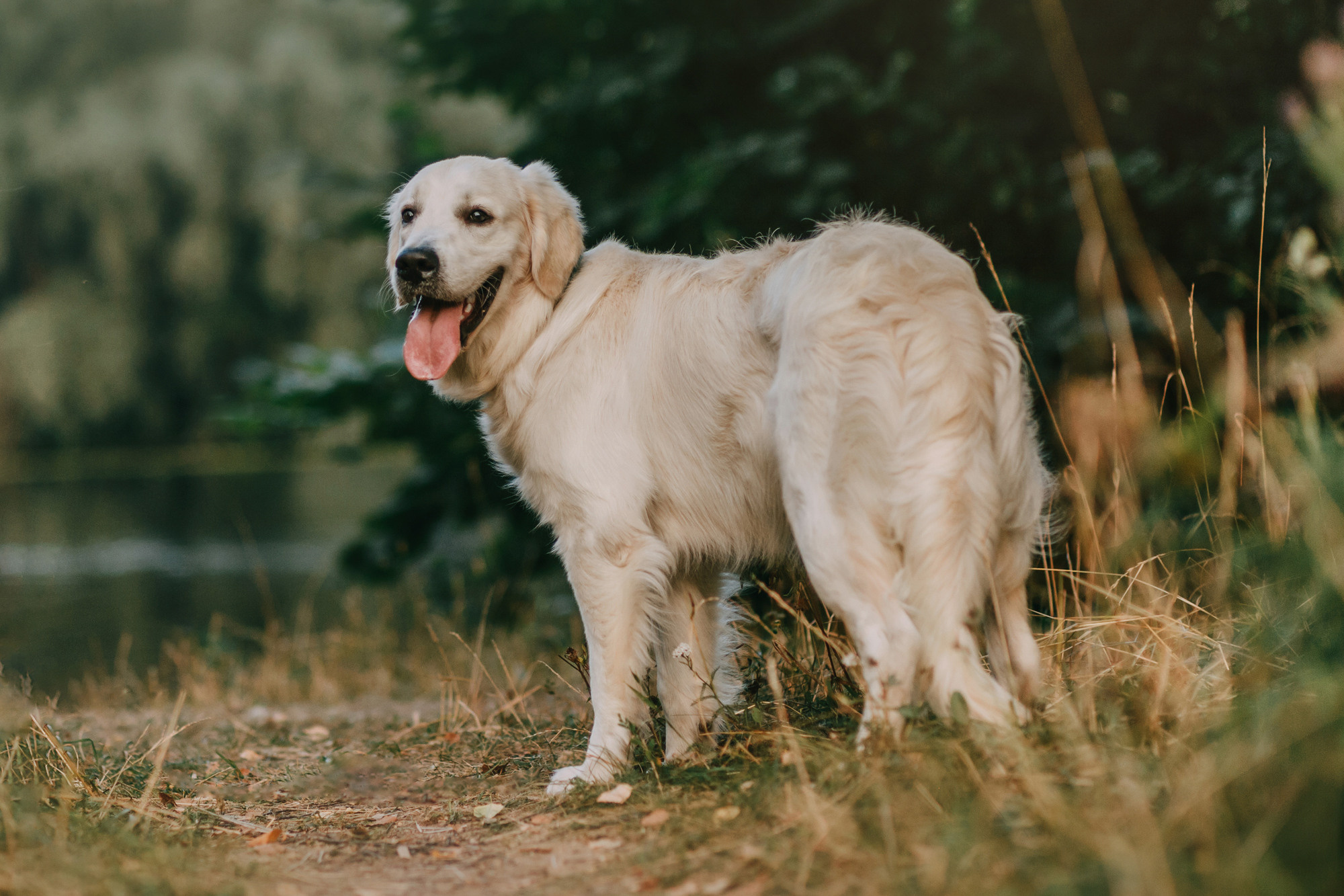 Ольга и Винни. Фотограф-анималист Елена Радченко, Москва