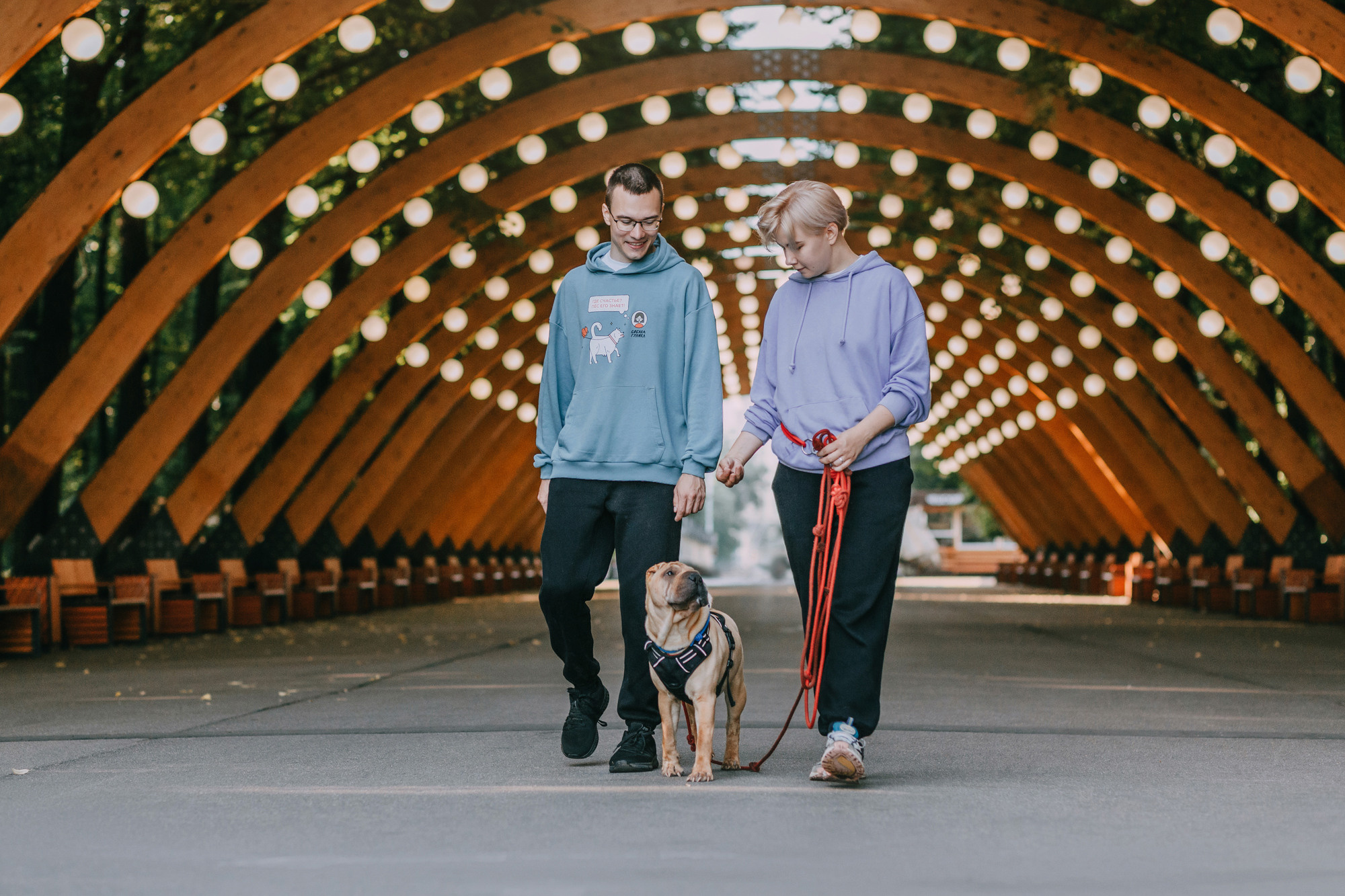 Аппа. Фотограф-анималист Елена Радченко, Москва