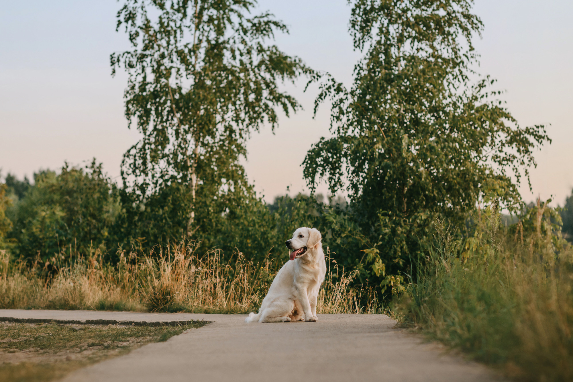 Ольга и Винни. Фотограф-анималист Елена Радченко, Москва