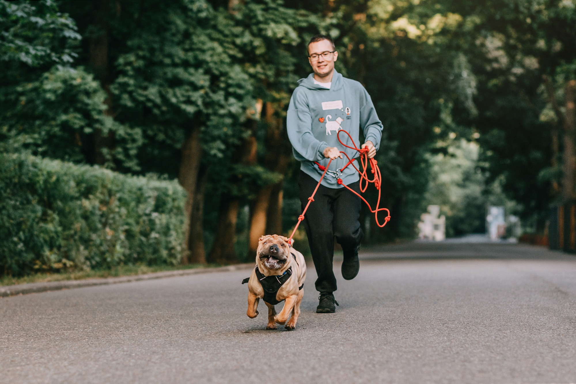 Аппа. Фотограф-анималист Елена Радченко, Москва