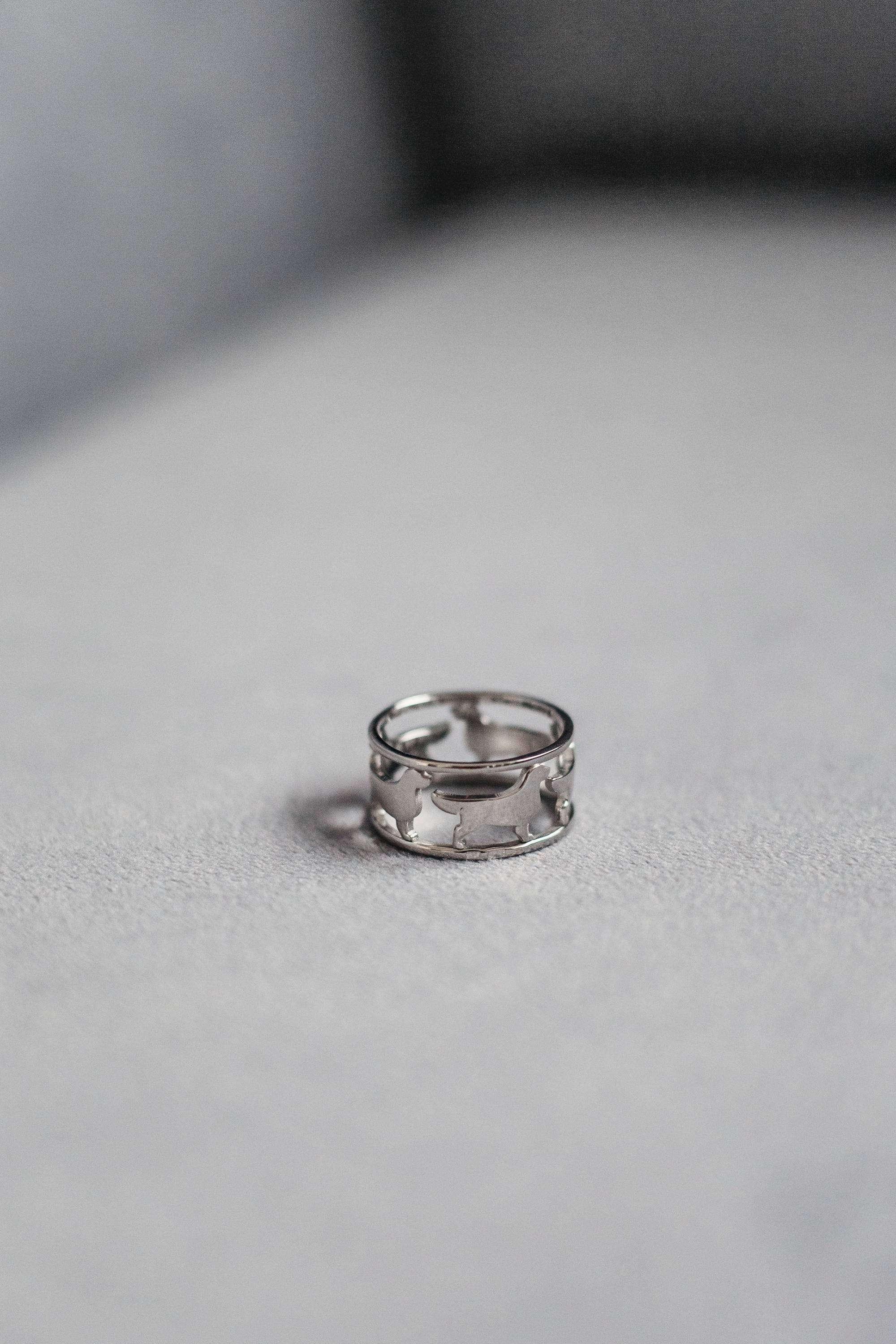 Украшения Diamond Animal. Фотограф-анималист Елена Радченко, Москва