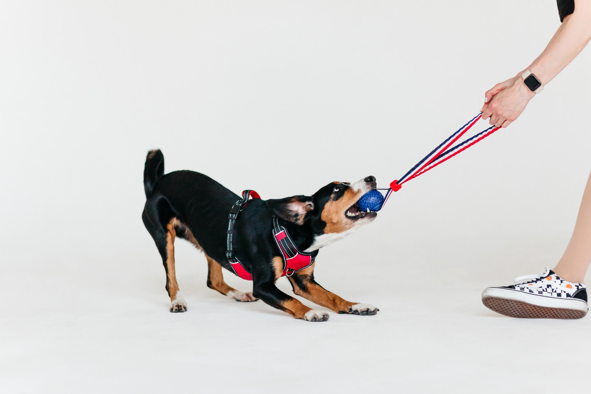 Магазин Каскад. Фотограф-анималист Елена Радченко, Москва