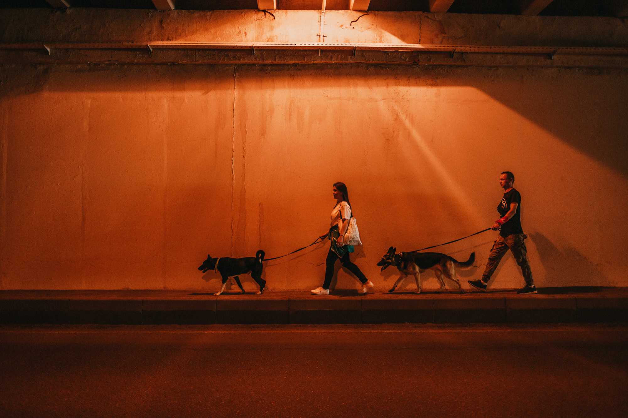 Элина, Слава, Байкал и Аксель. Фотограф-анималист Елена Радченко, Москва
