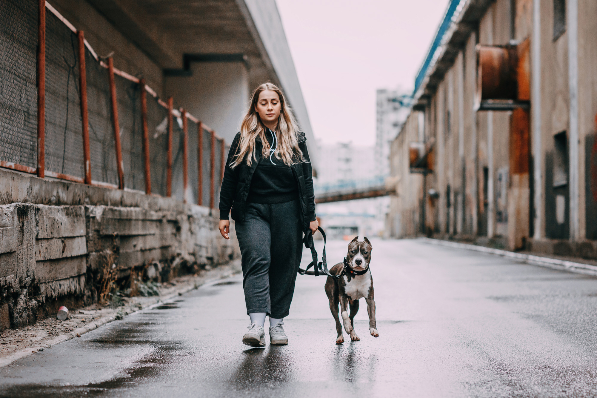 Ошейники Tame flame. Фотограф-анималист Елена Радченко, Москва