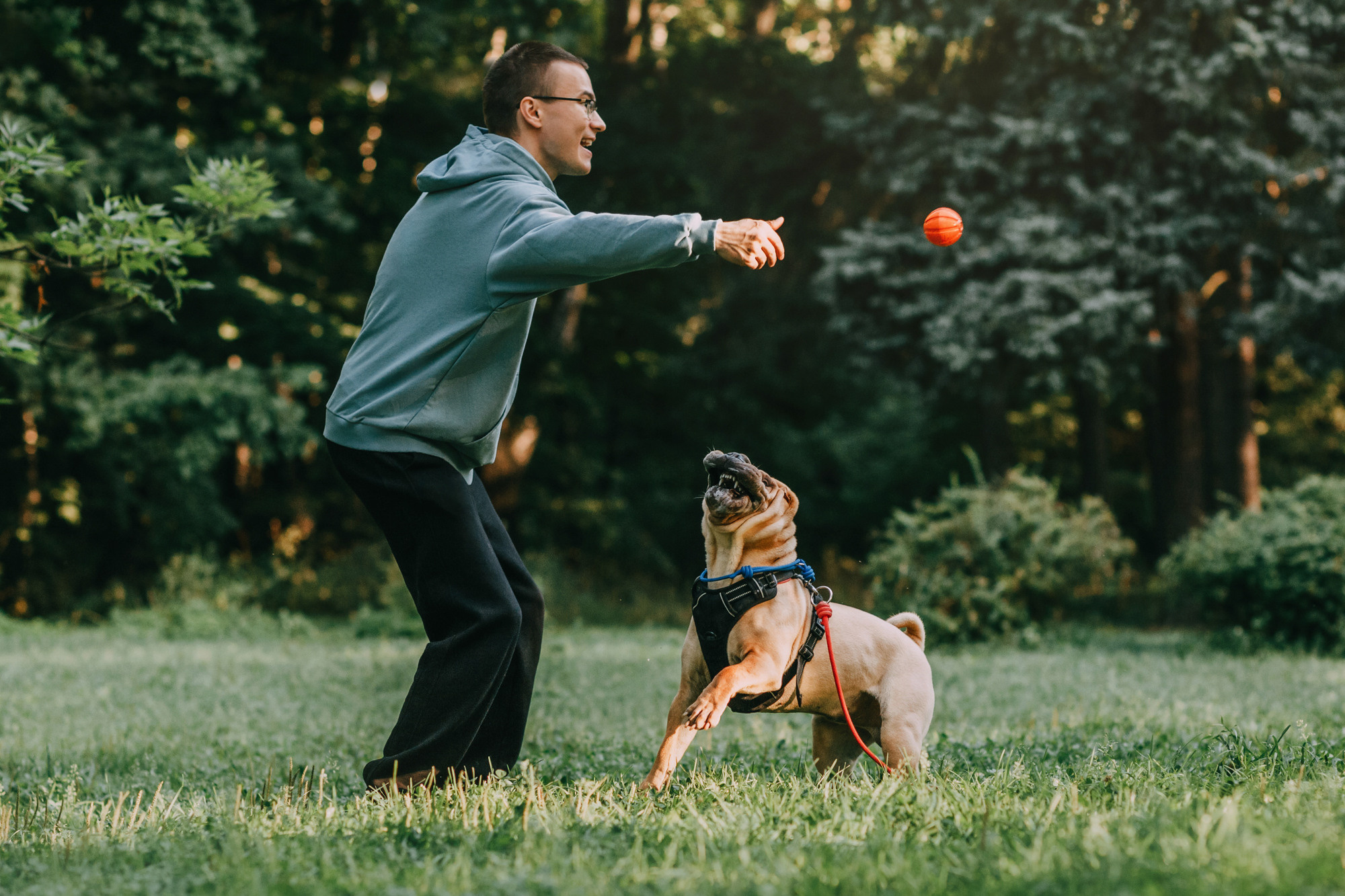 Аппа. Фотограф-анималист Елена Радченко, Москва