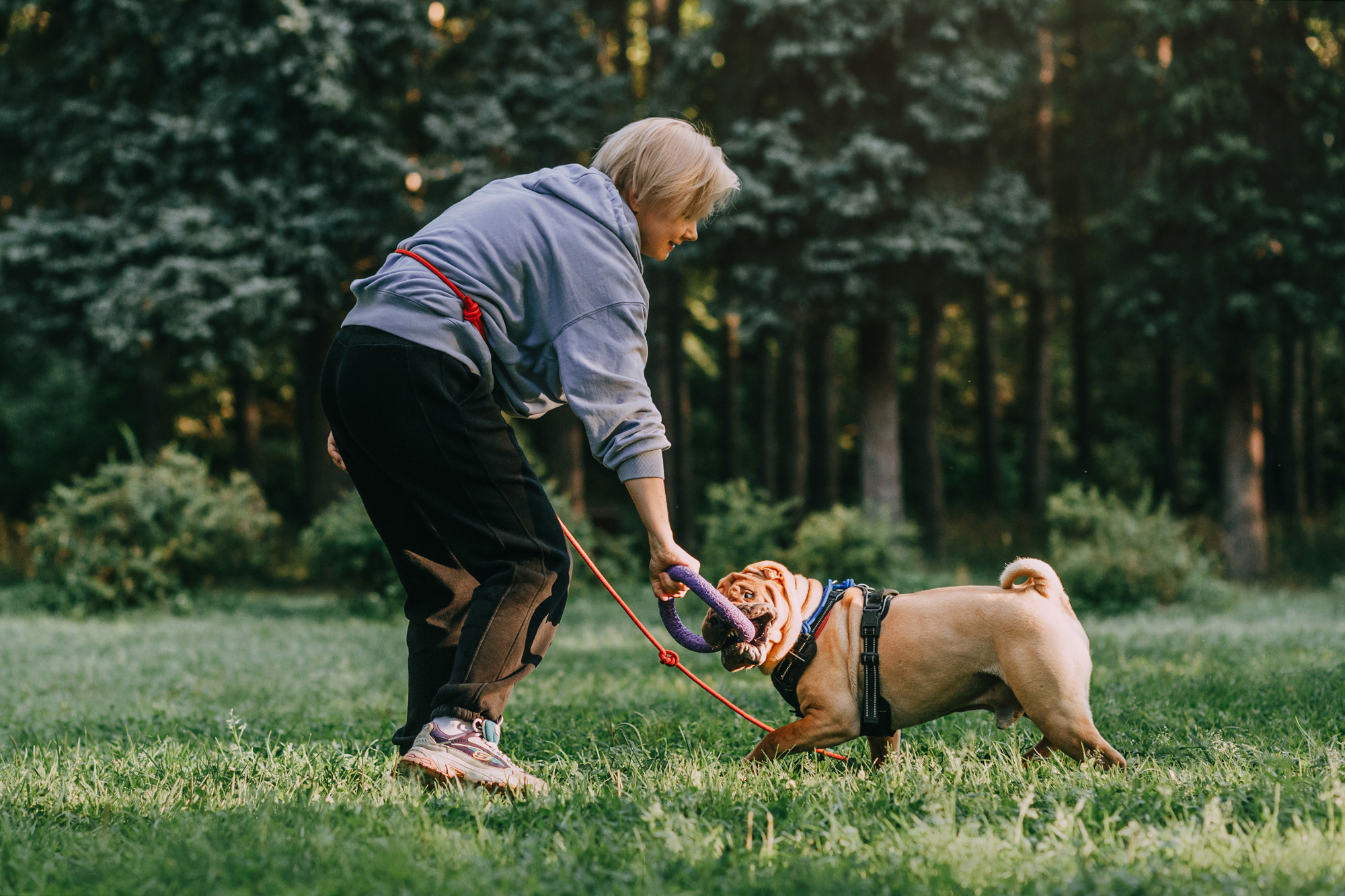 Аппа. Фотограф-анималист Елена Радченко, Москва
