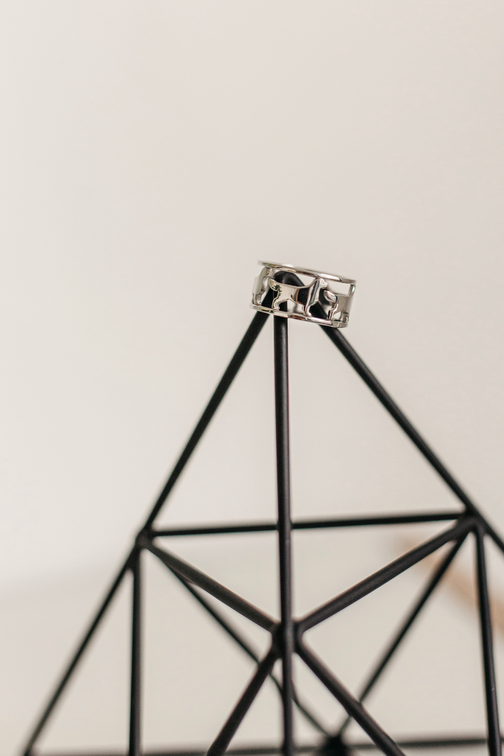 Украшения Diamond Animal. Фотограф-анималист Елена Радченко, Москва