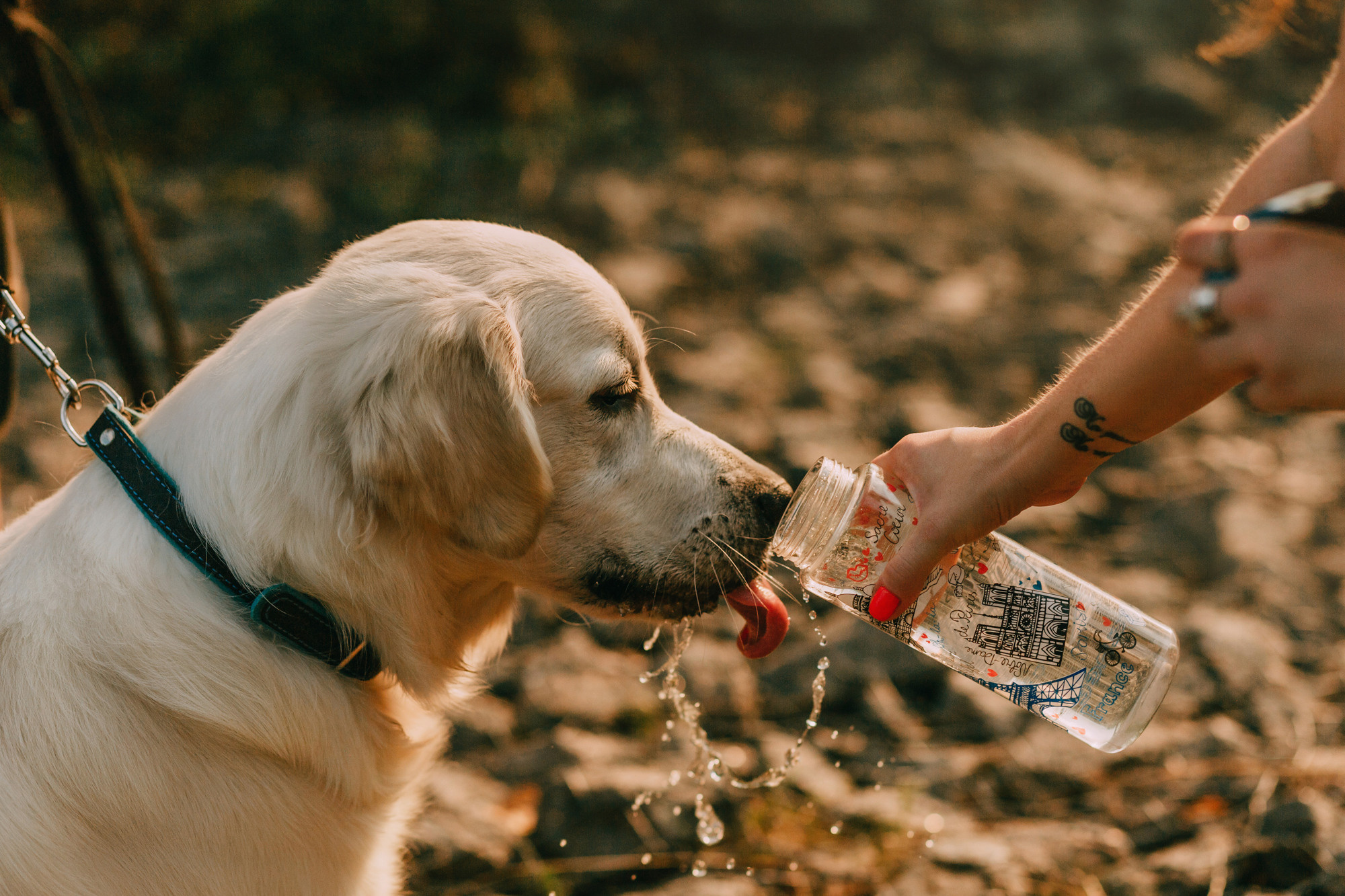 Ольга и Винни. Фотограф-анималист Елена Радченко, Москва
