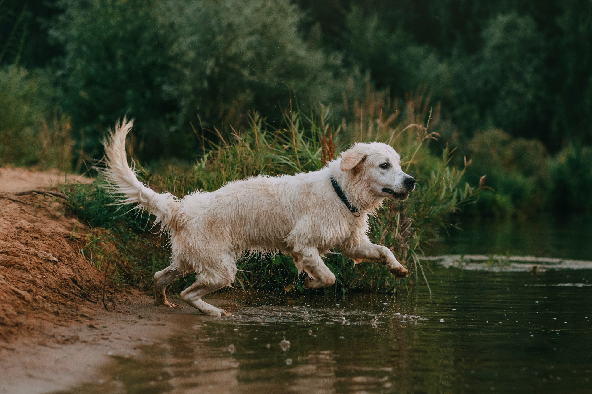 Ольга и Винни. Фотограф-анималист Елена Радченко, Москва