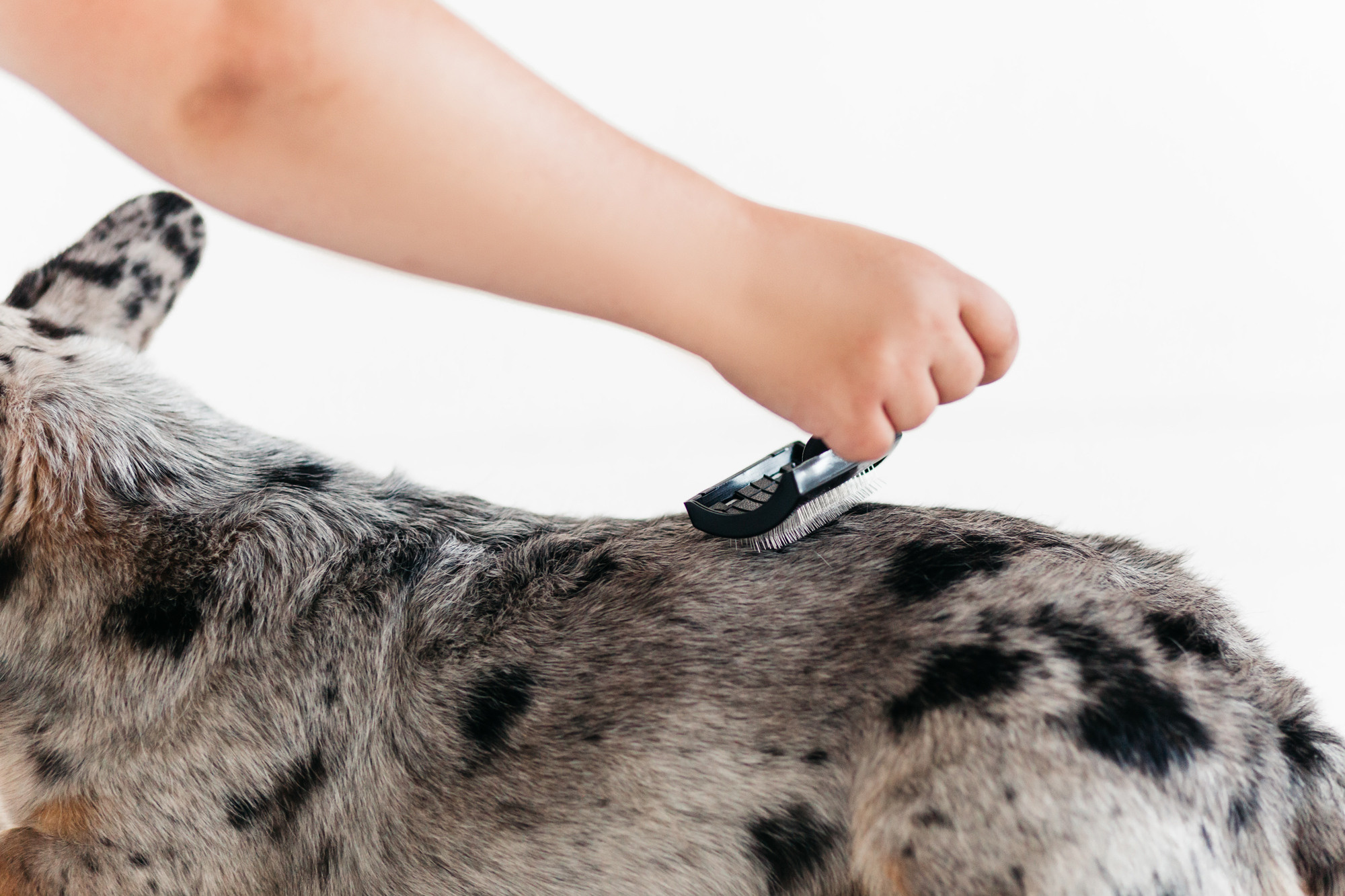 Магазин Каскад. Фотограф-анималист Елена Радченко, Москва