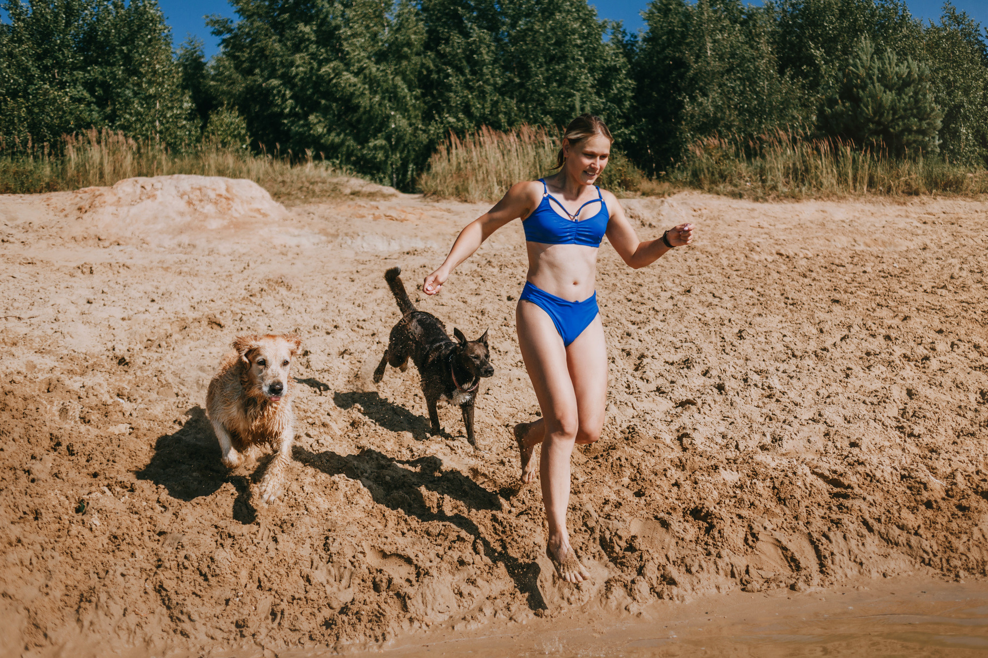 Бэлла и Альма. Фотограф-анималист Елена Радченко, Москва