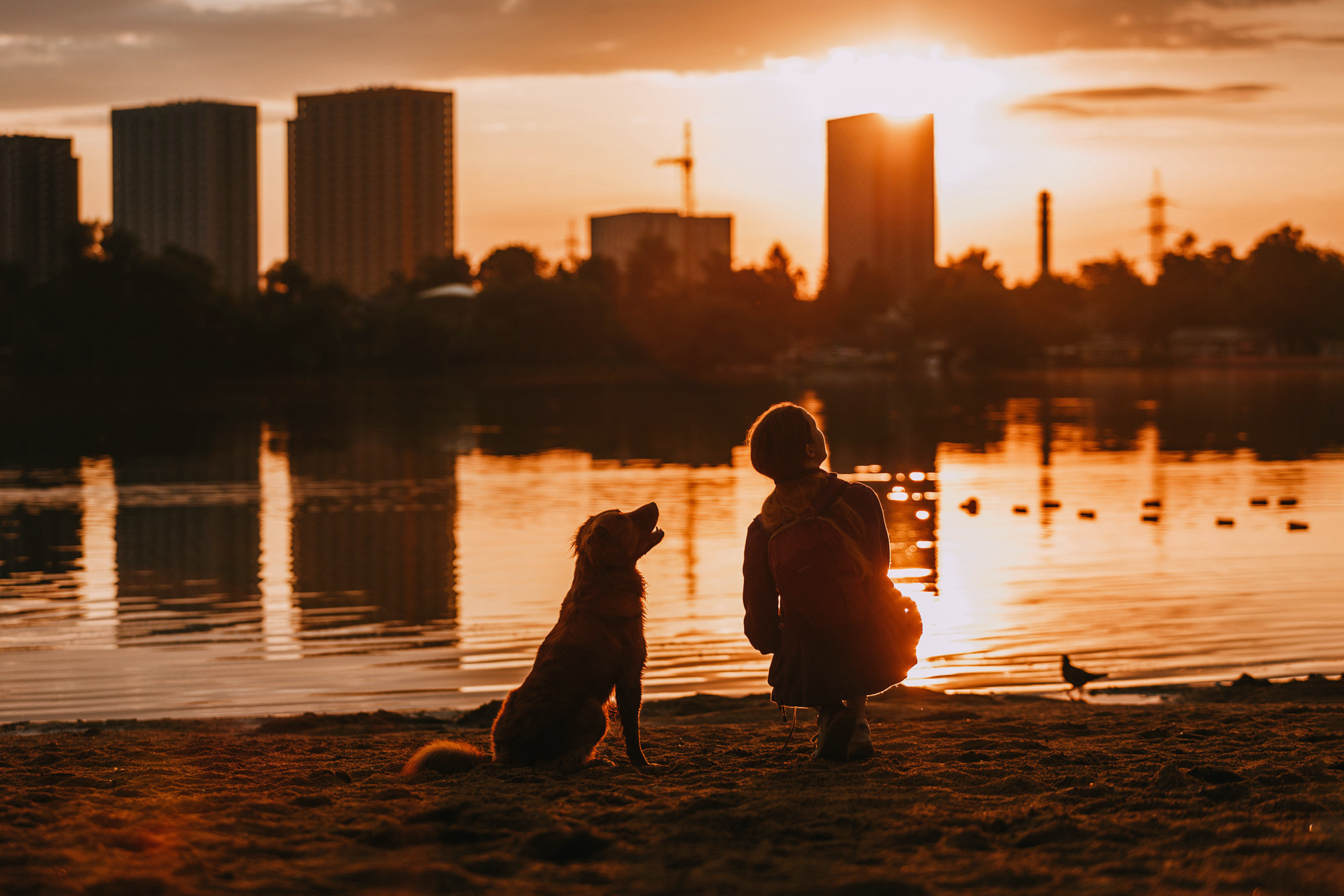 Бублик. Фотограф-анималист Елена Радченко, Москва
