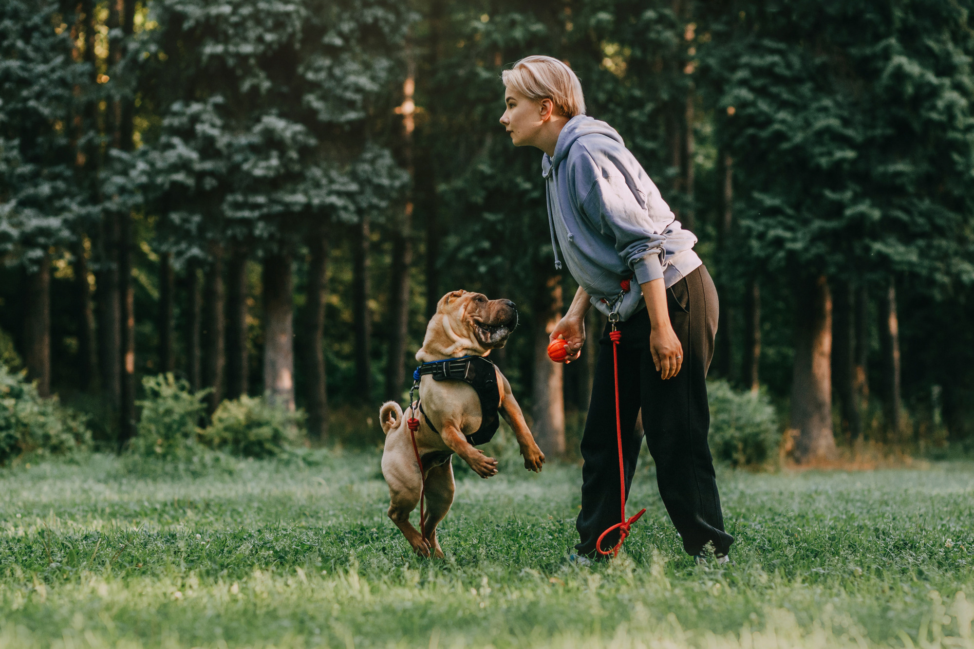 Аппа. Фотограф-анималист Елена Радченко, Москва