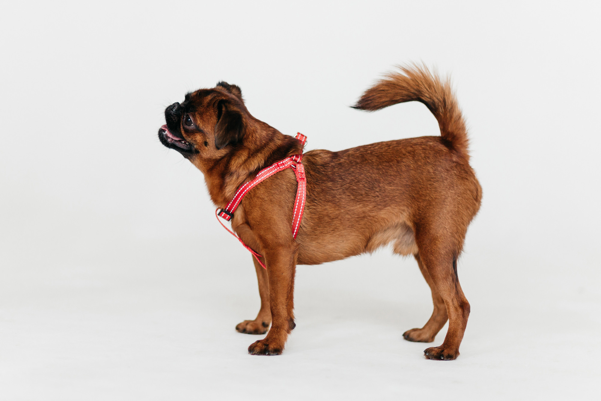 Магазин Каскад. Фотограф-анималист Елена Радченко, Москва