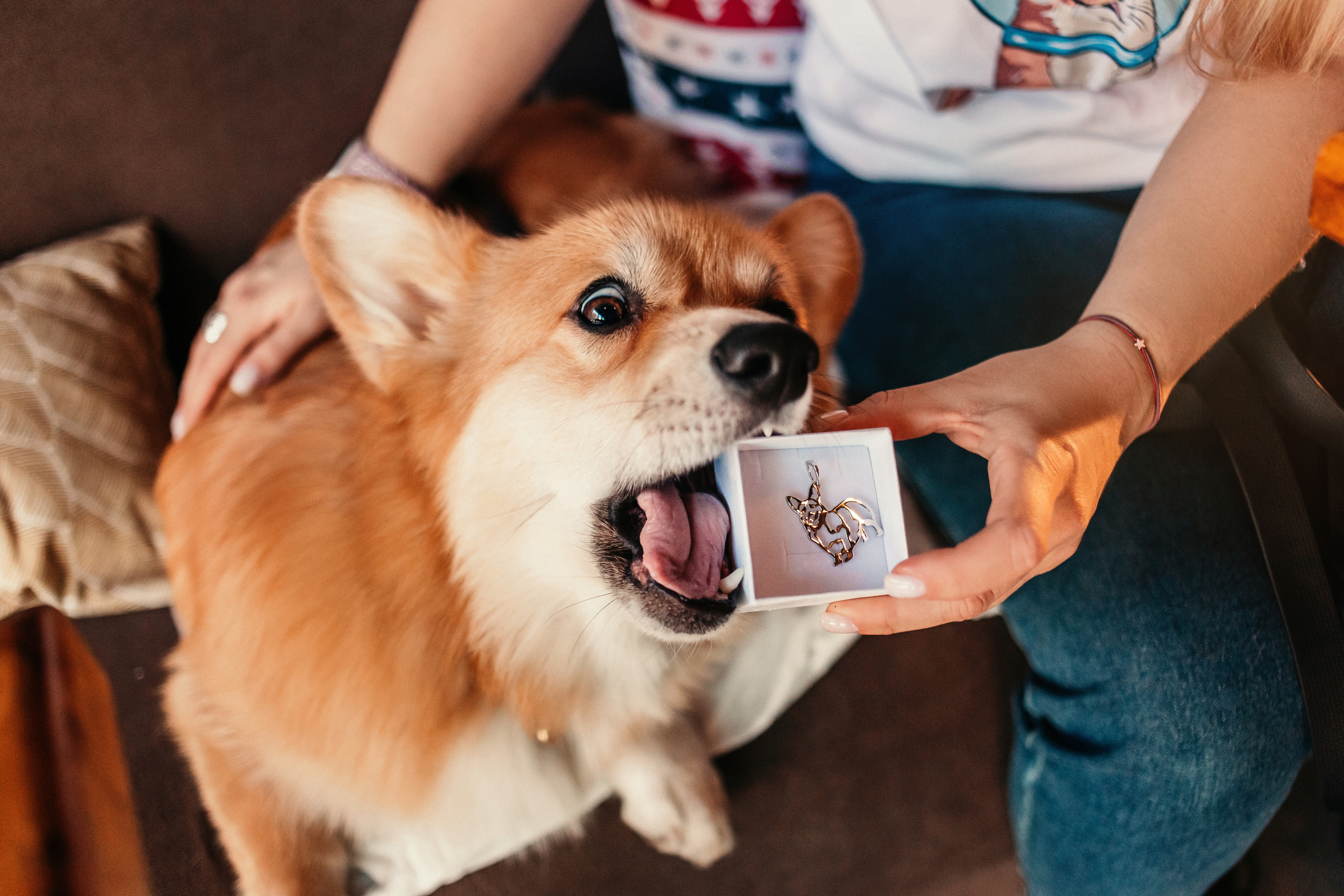 Украшения Diamond Animal. Фотограф-анималист Елена Радченко, Москва