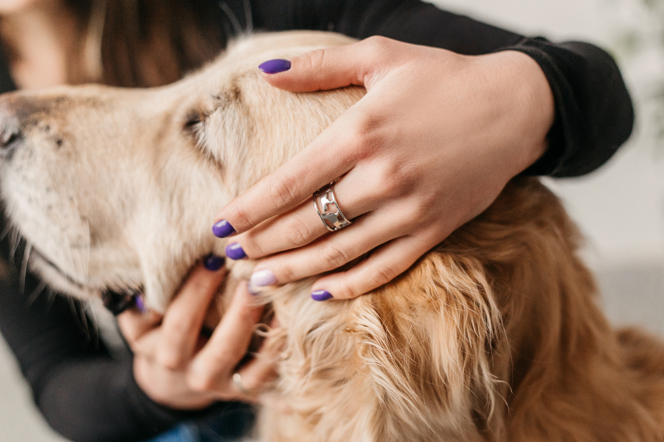 Украшения Diamond Animal. Фотограф-анималист Елена Радченко, Москва