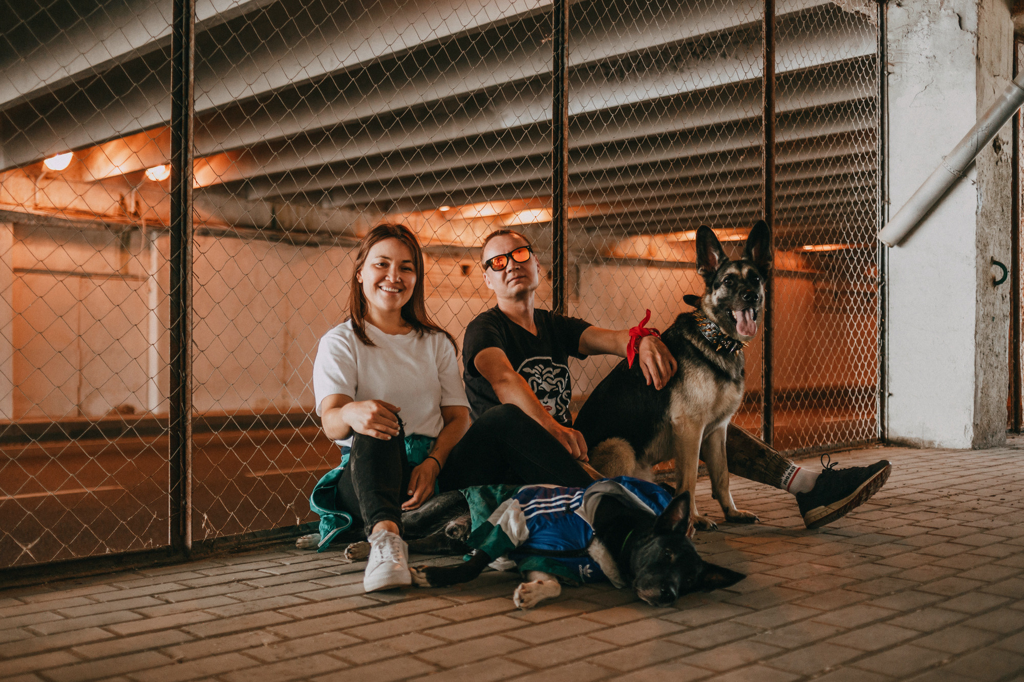 Элина, Слава, Байкал и Аксель. Фотограф-анималист Елена Радченко, Москва