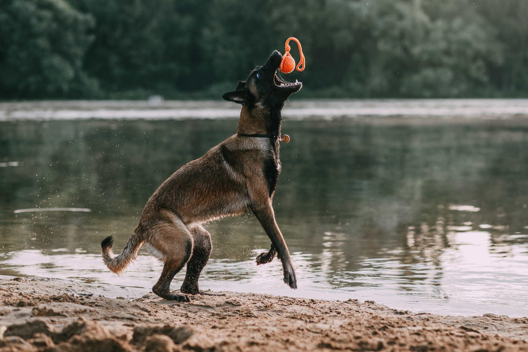 Полина и Ишка. Фотограф-анималист Елена Радченко, Москва