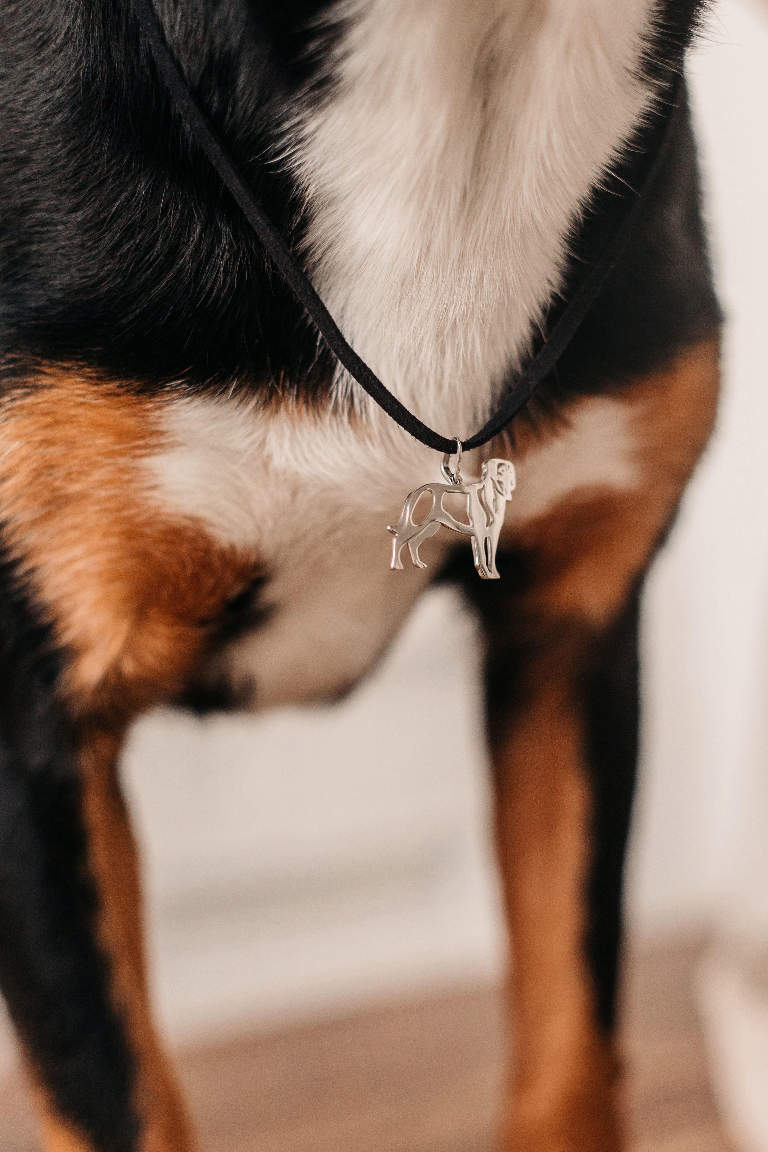 Украшения Diamond Animal. Фотограф-анималист Елена Радченко, Москва